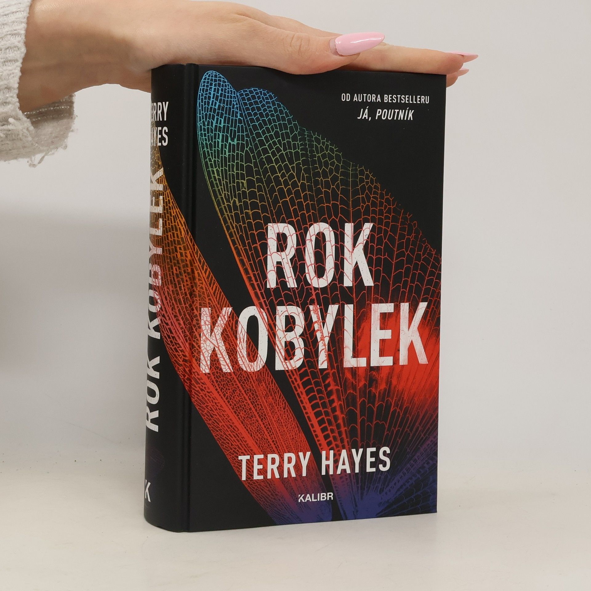 Terry Hayes Rok kobylek