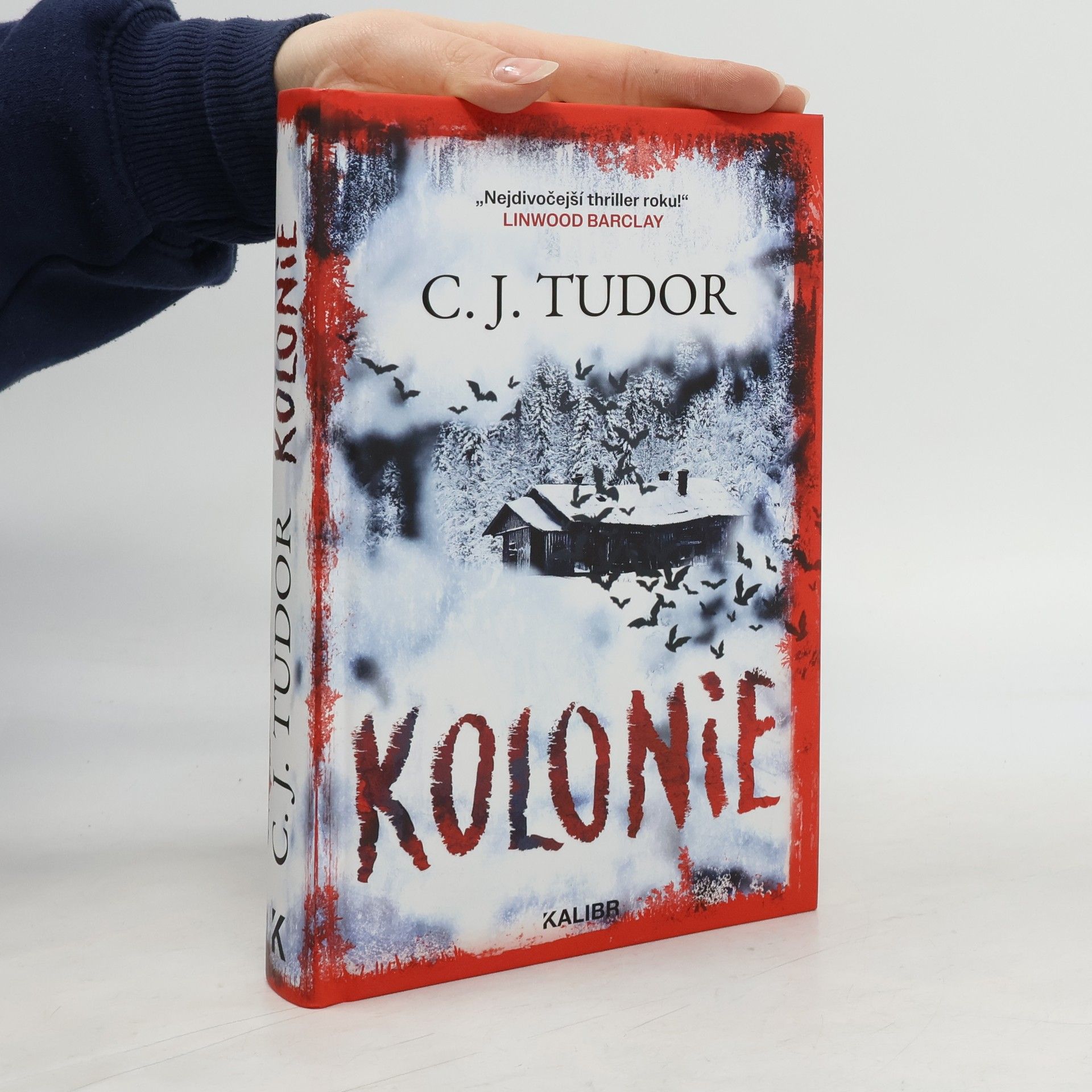 Kolonie