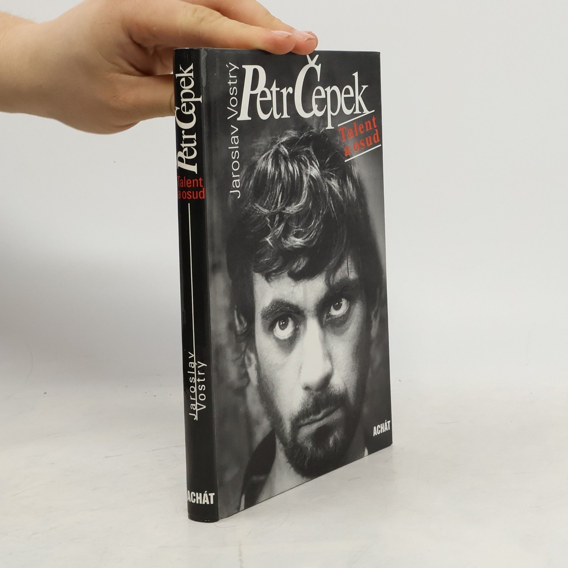 Petr Čepek. Talent a osud