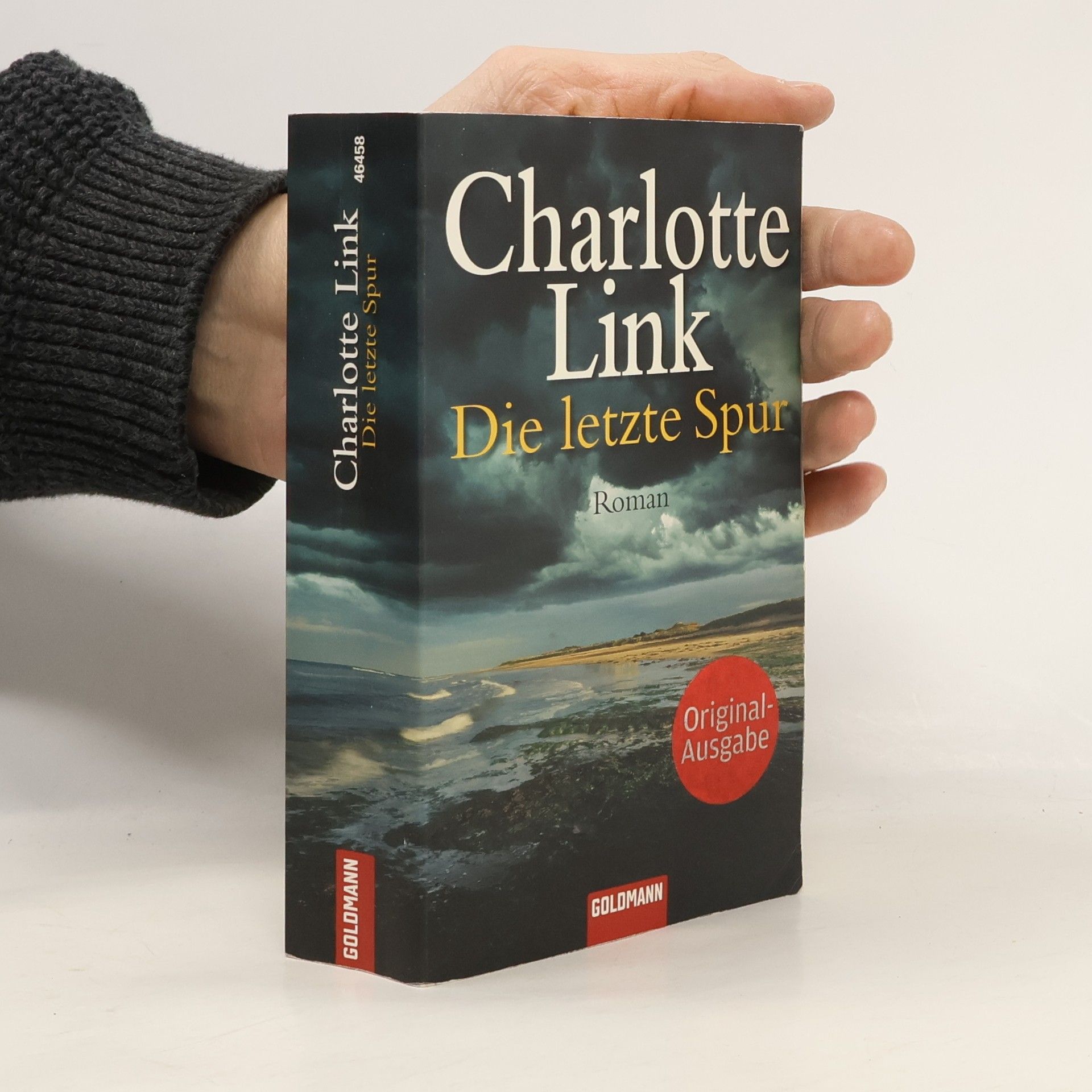 Charlotte Link Die letzte Spur