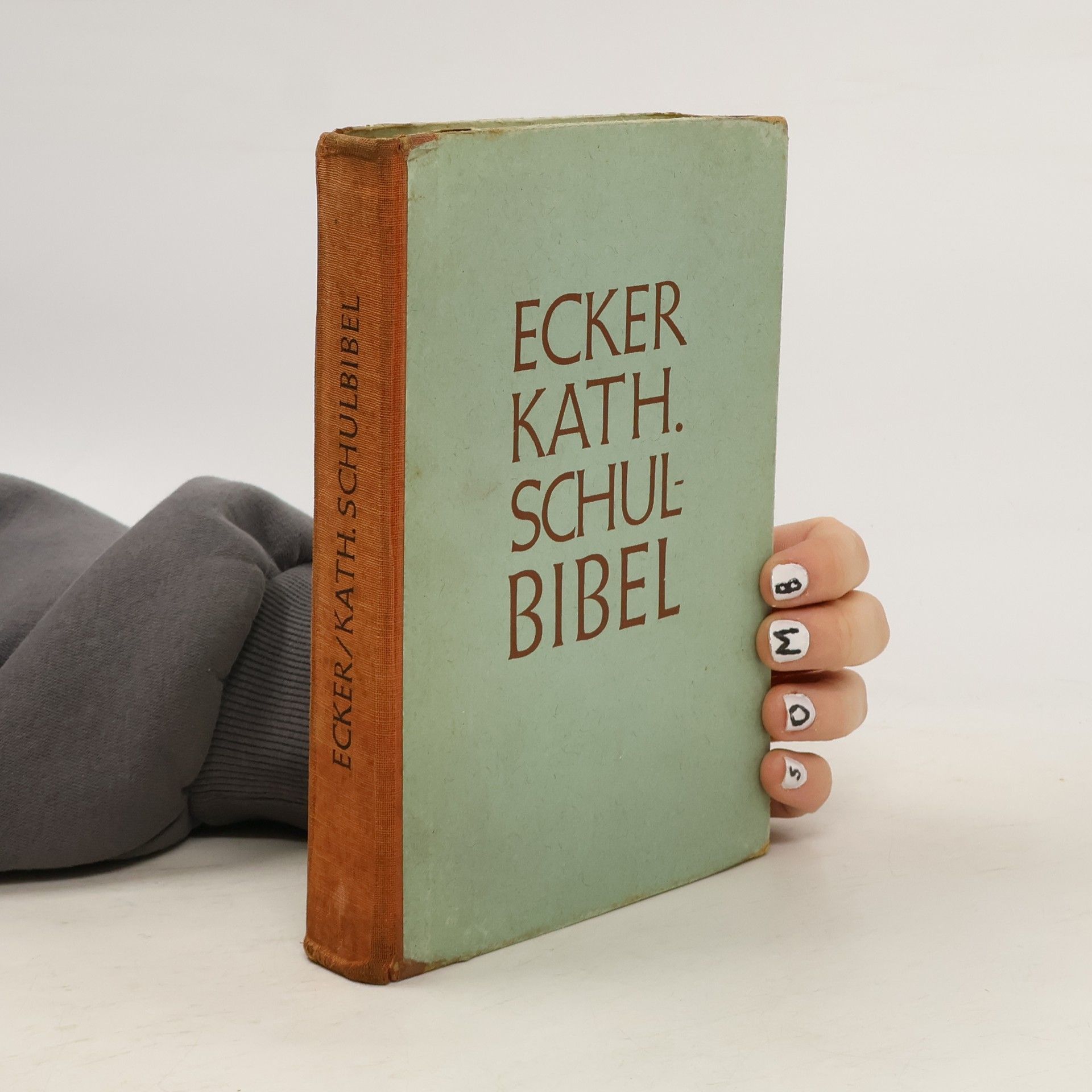 Autorenkollektiv Ecker/Kath. Schulbibel