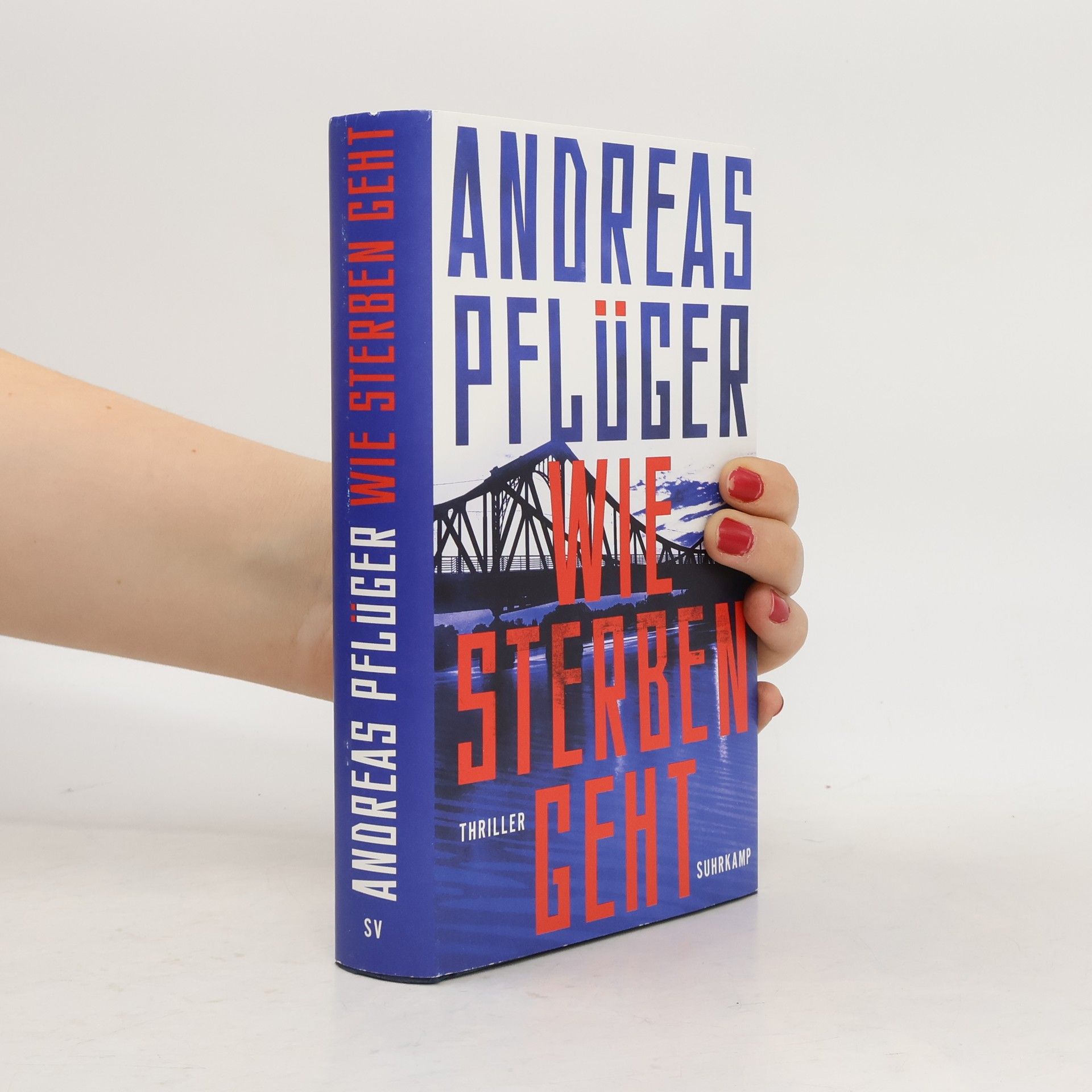 Andreas Pflüger Wie Sterben geht