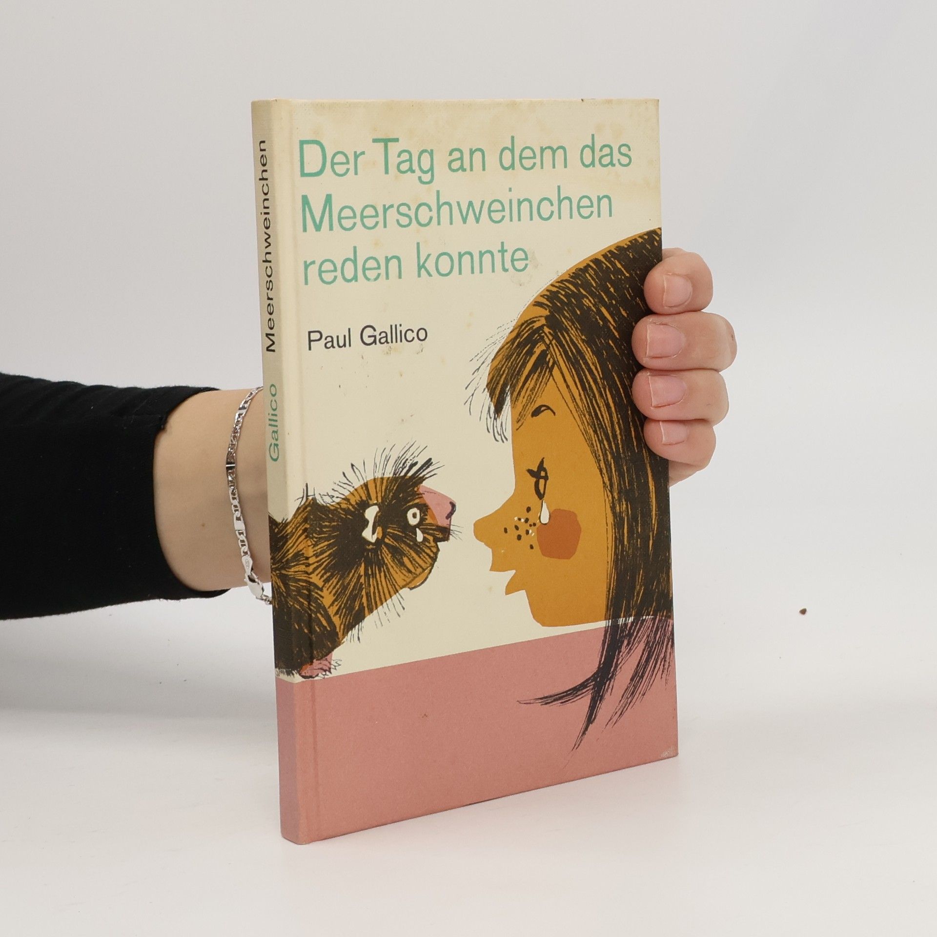 Paul Gallico Der Tag an dem das Meerschweinchen reden konnte