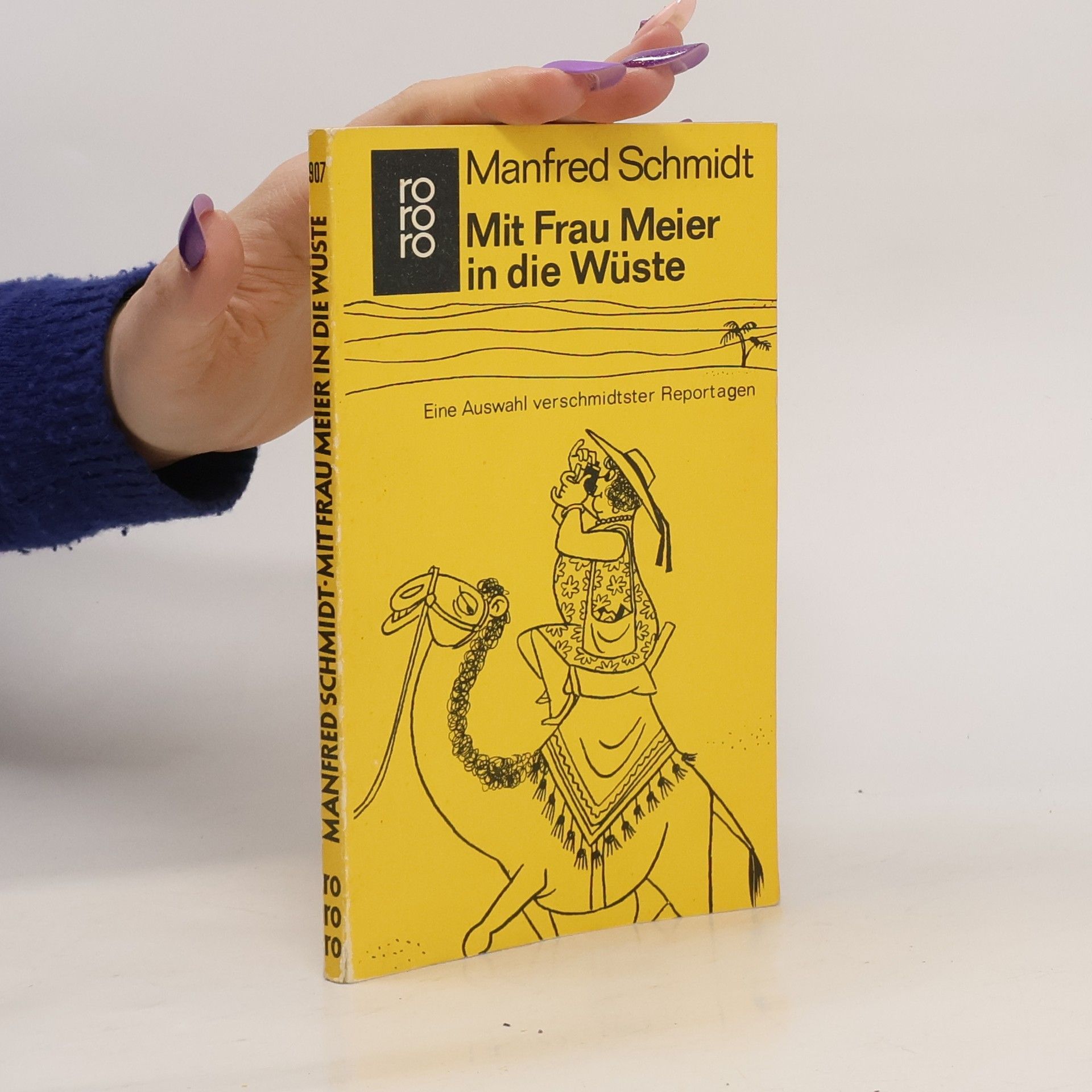 Manfred Schmid Mit Frau Meier in die Wüste