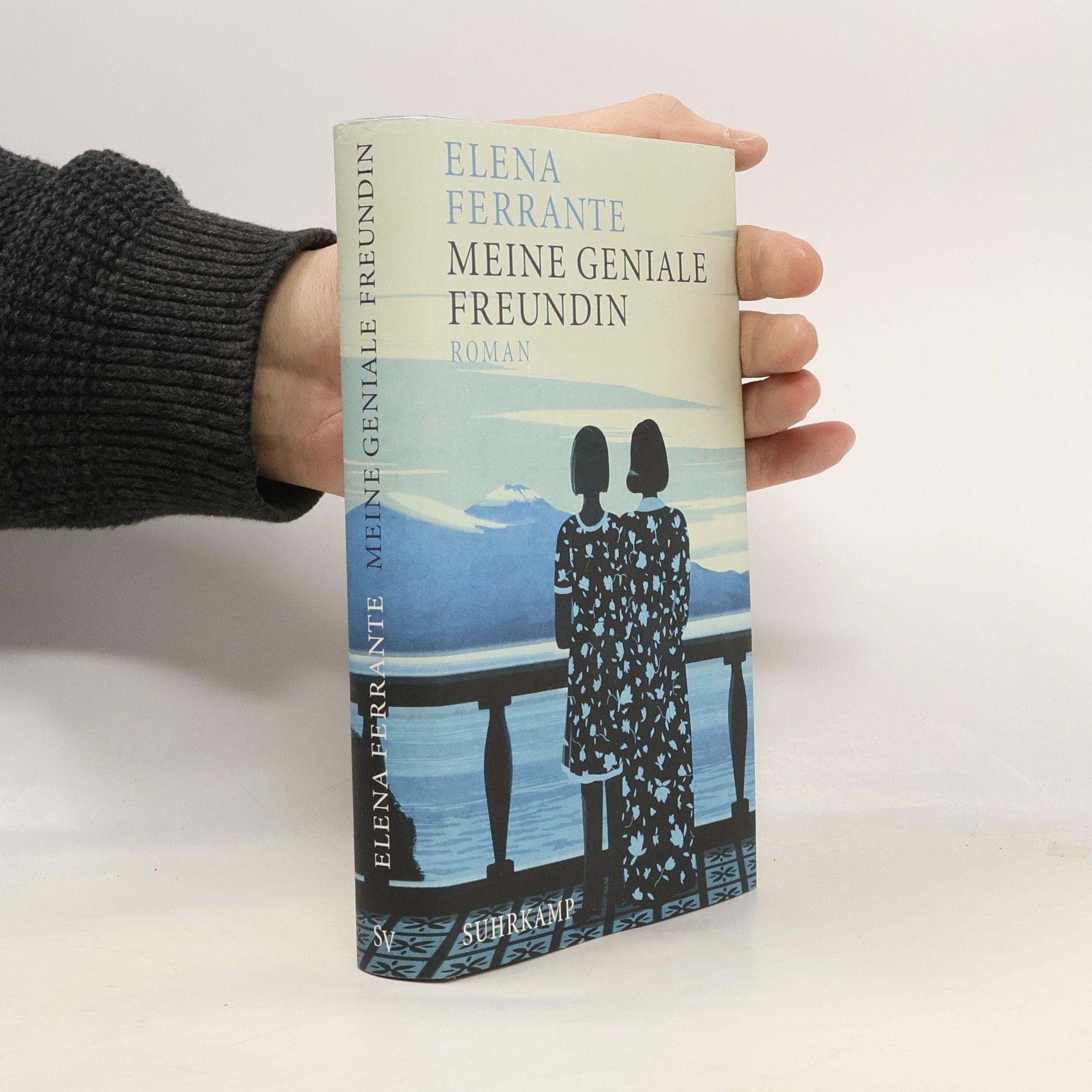 Elena Ferrante Meine geniale Freundin