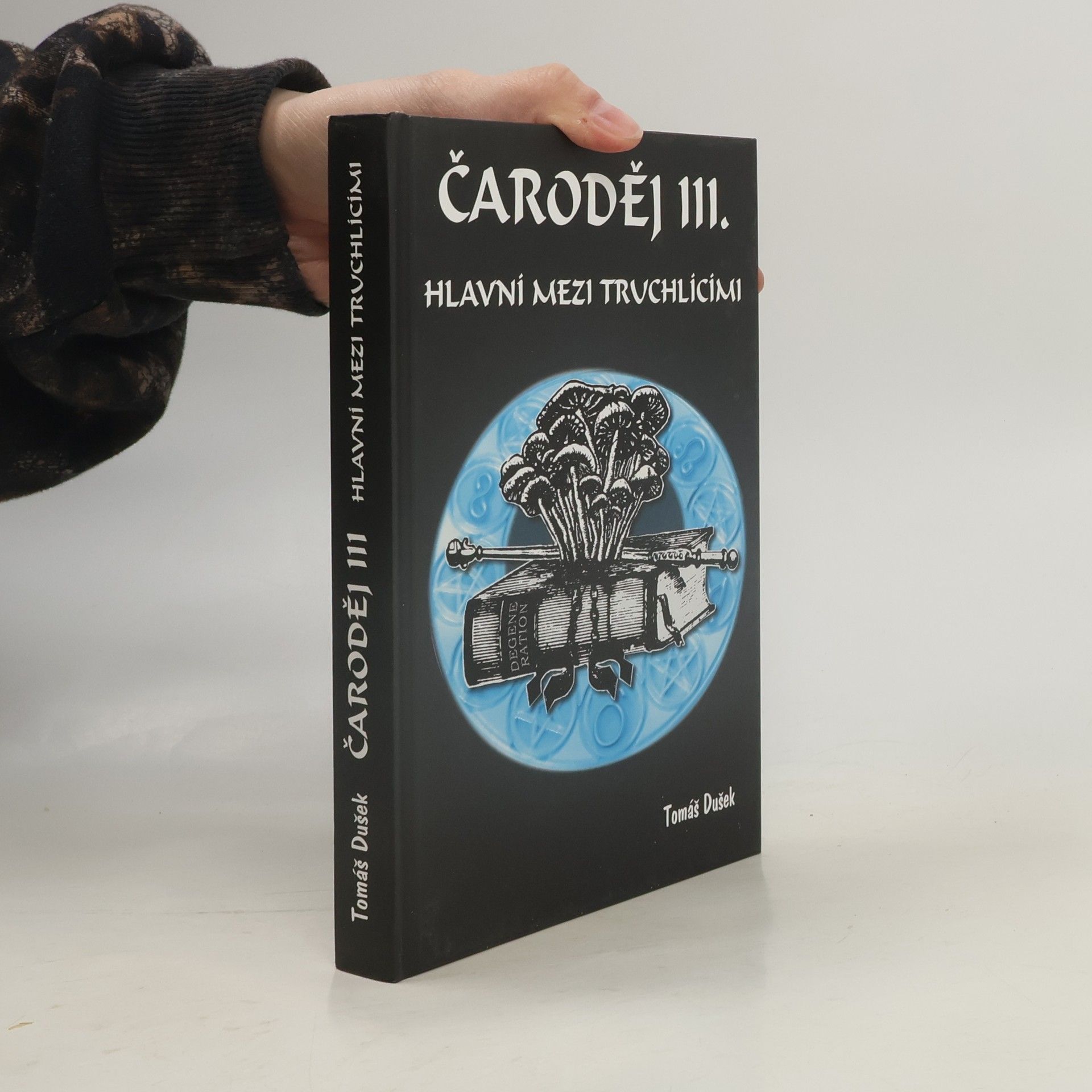 Hlavní mezi truchlícími