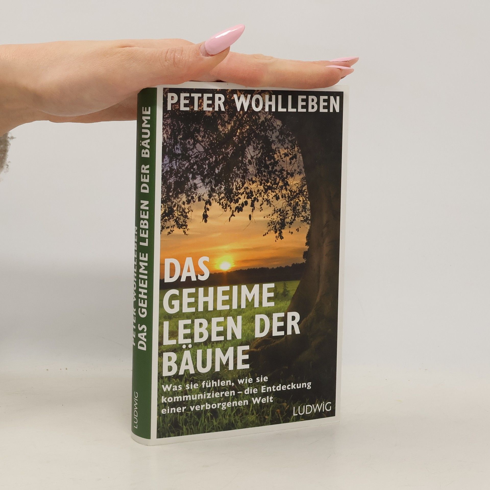 Das geheime Leben der Bäume
