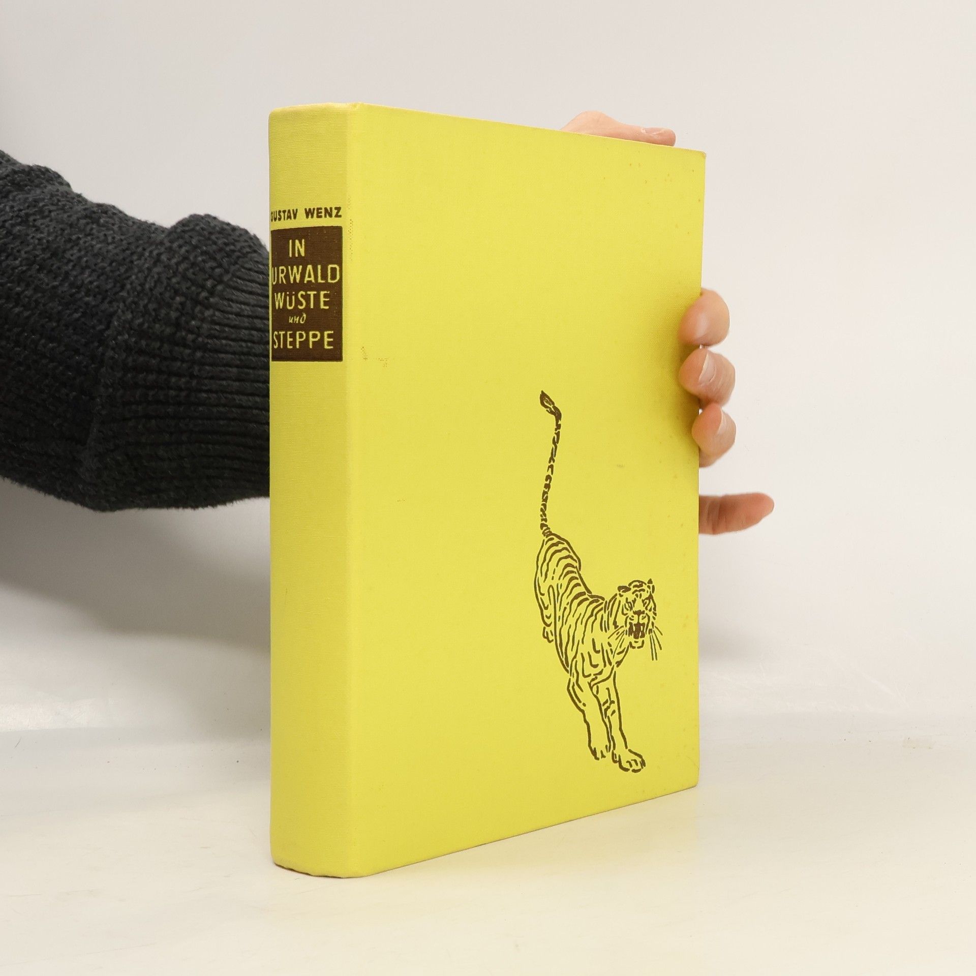 Gustav Wenz  In Urwald, Wüste und Steppe