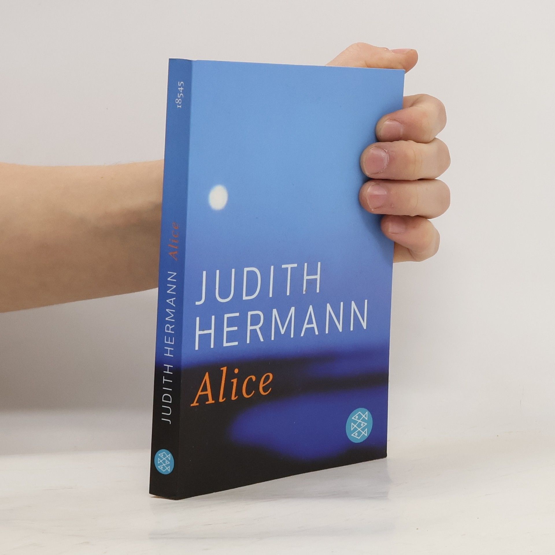 Judith Hermann Alice