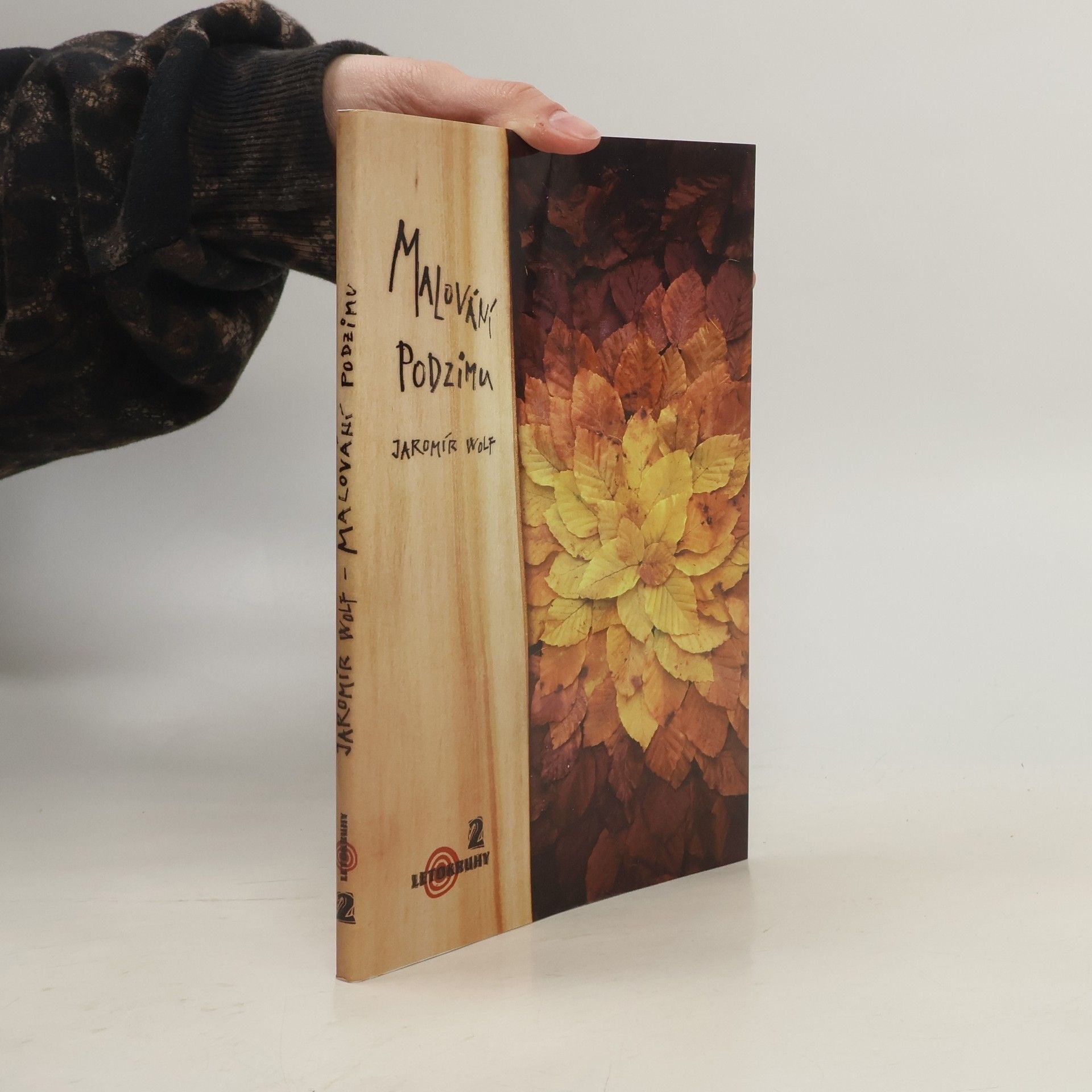 Jaromír Wolf Malování podzimu