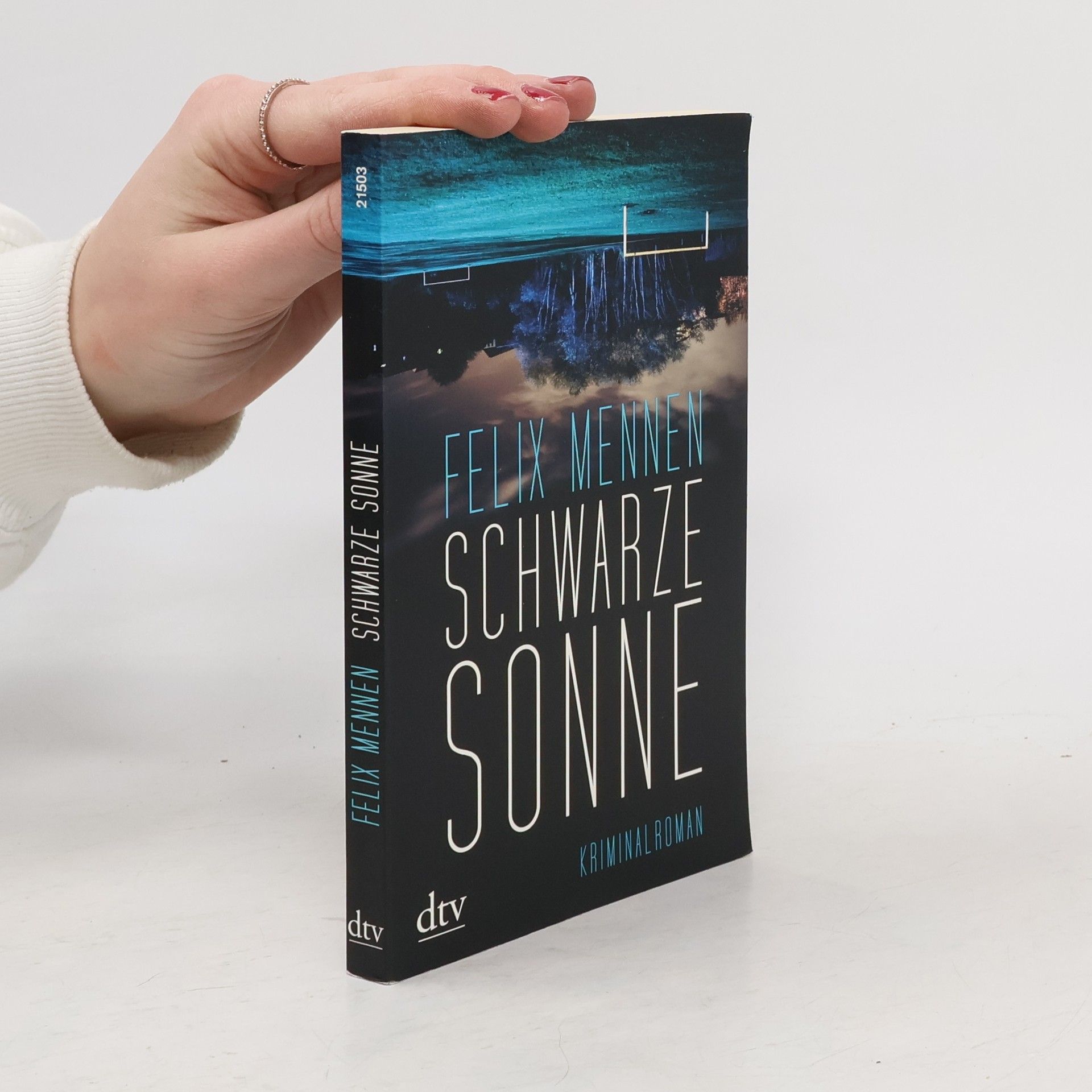 Felix Mennen Schwarze Sonne