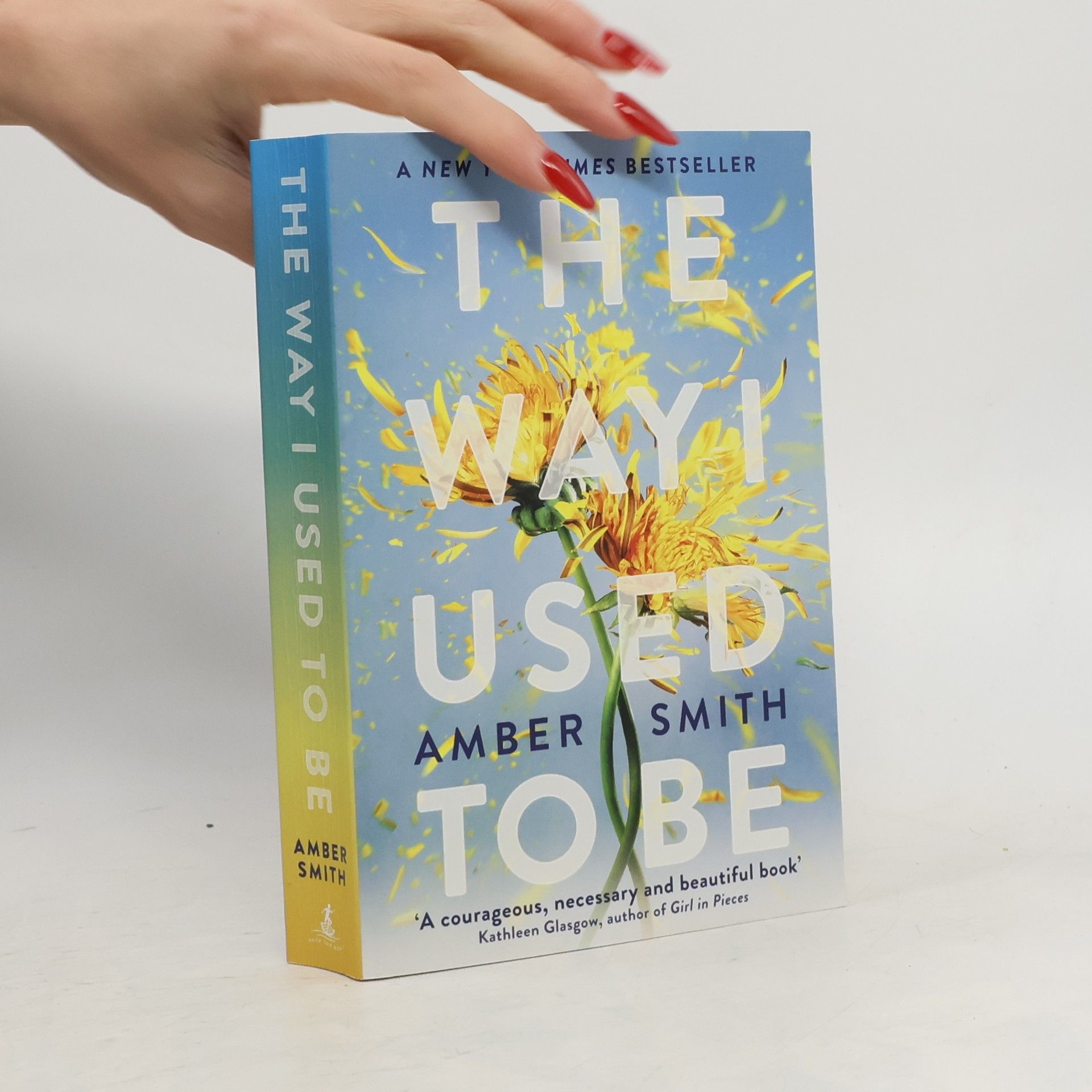 Amber Smith The Way I Used to Be