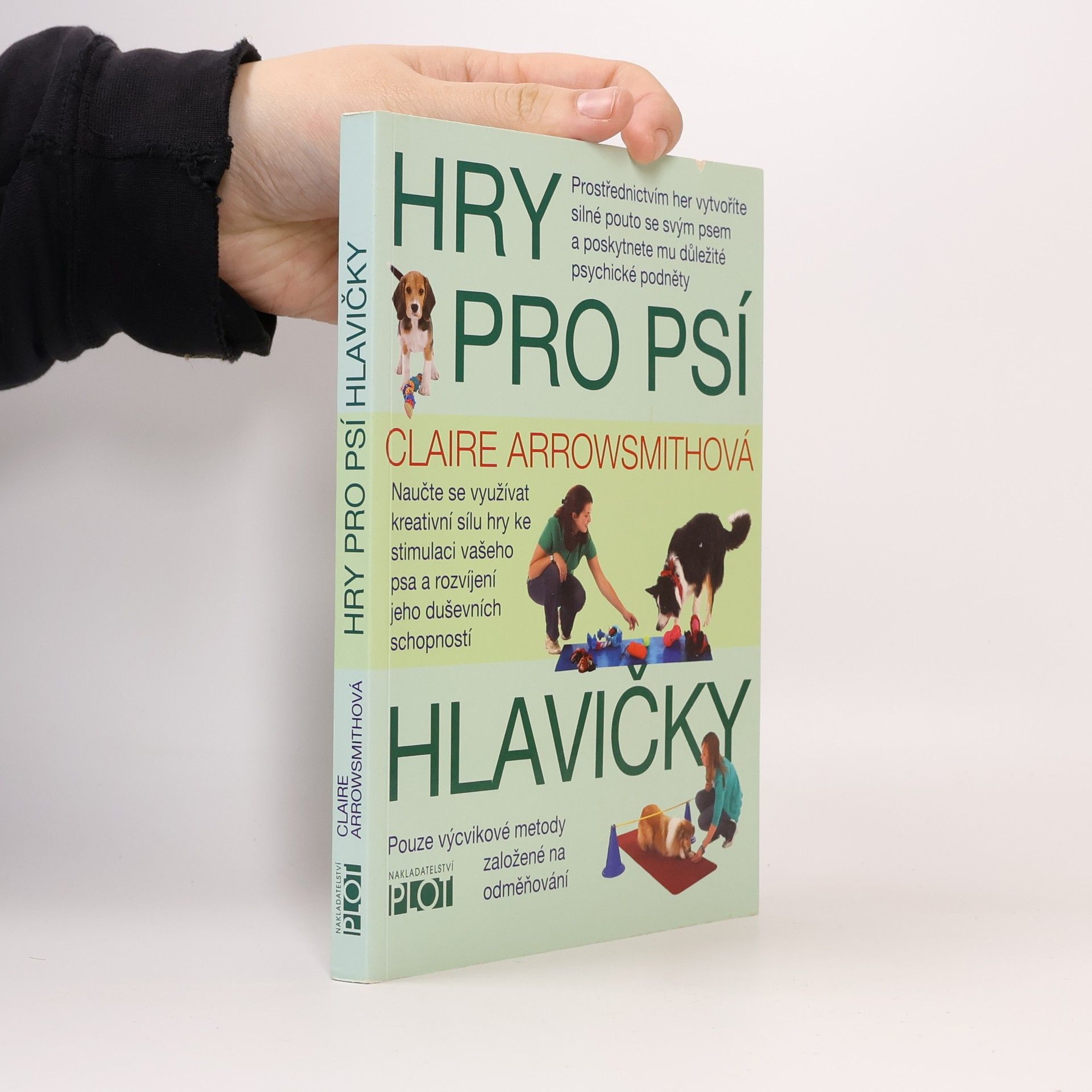 Hry pro psí hlavičky