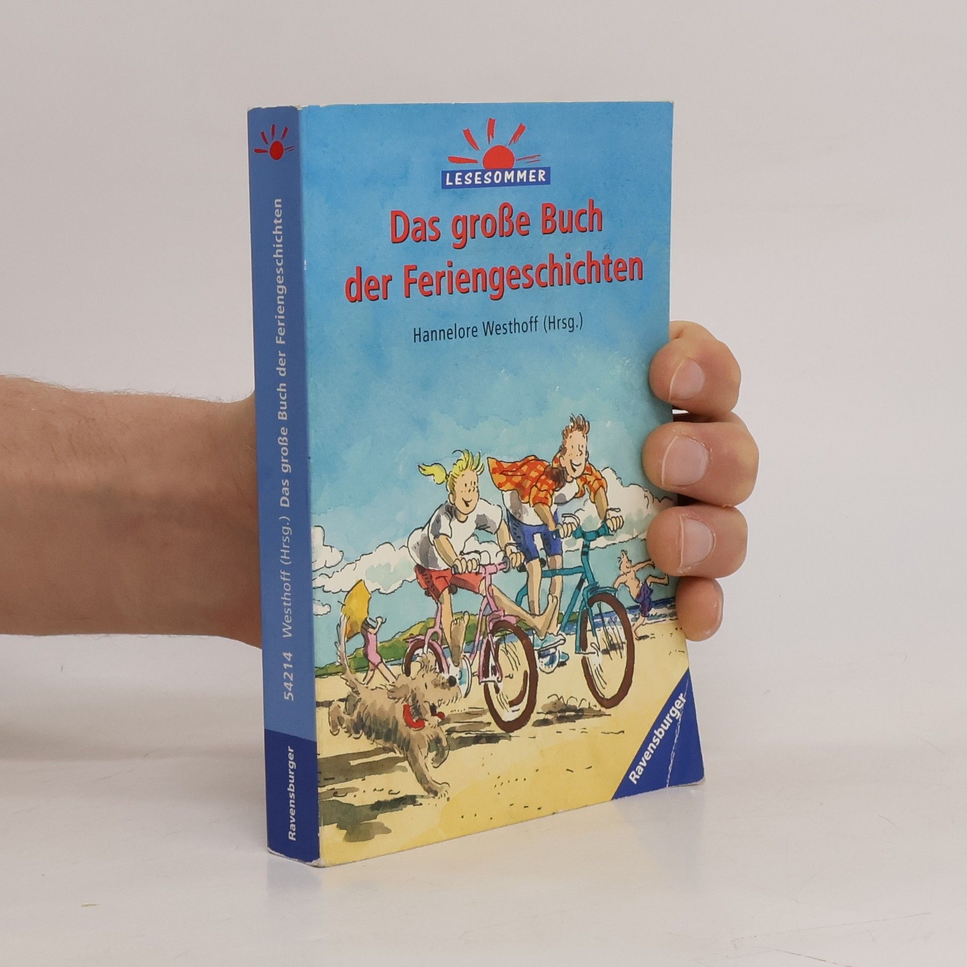 Hannelore Westhoff Das große Buch der Feriengeschichten