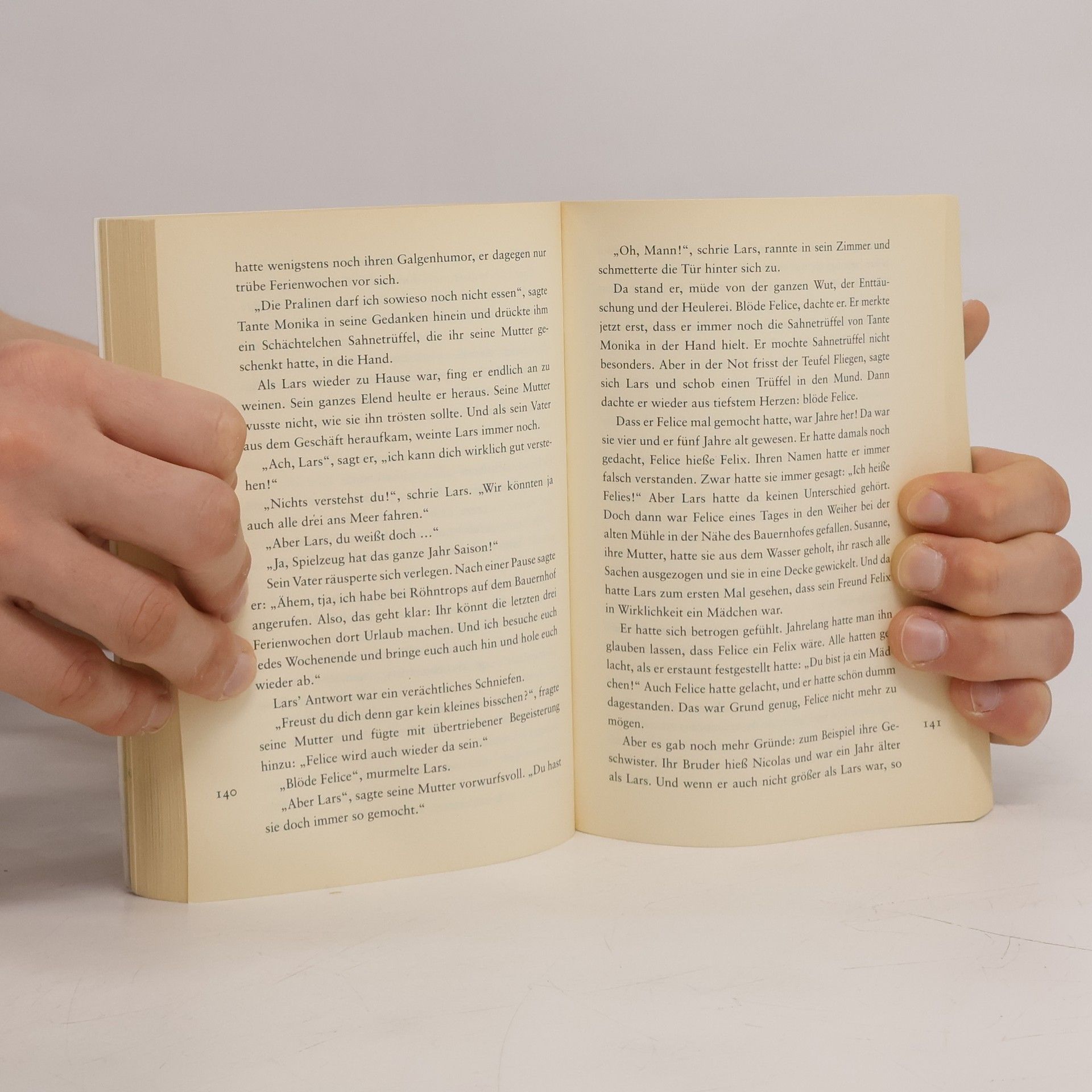 Hannelore Westhoff Das große Buch der Feriengeschichten