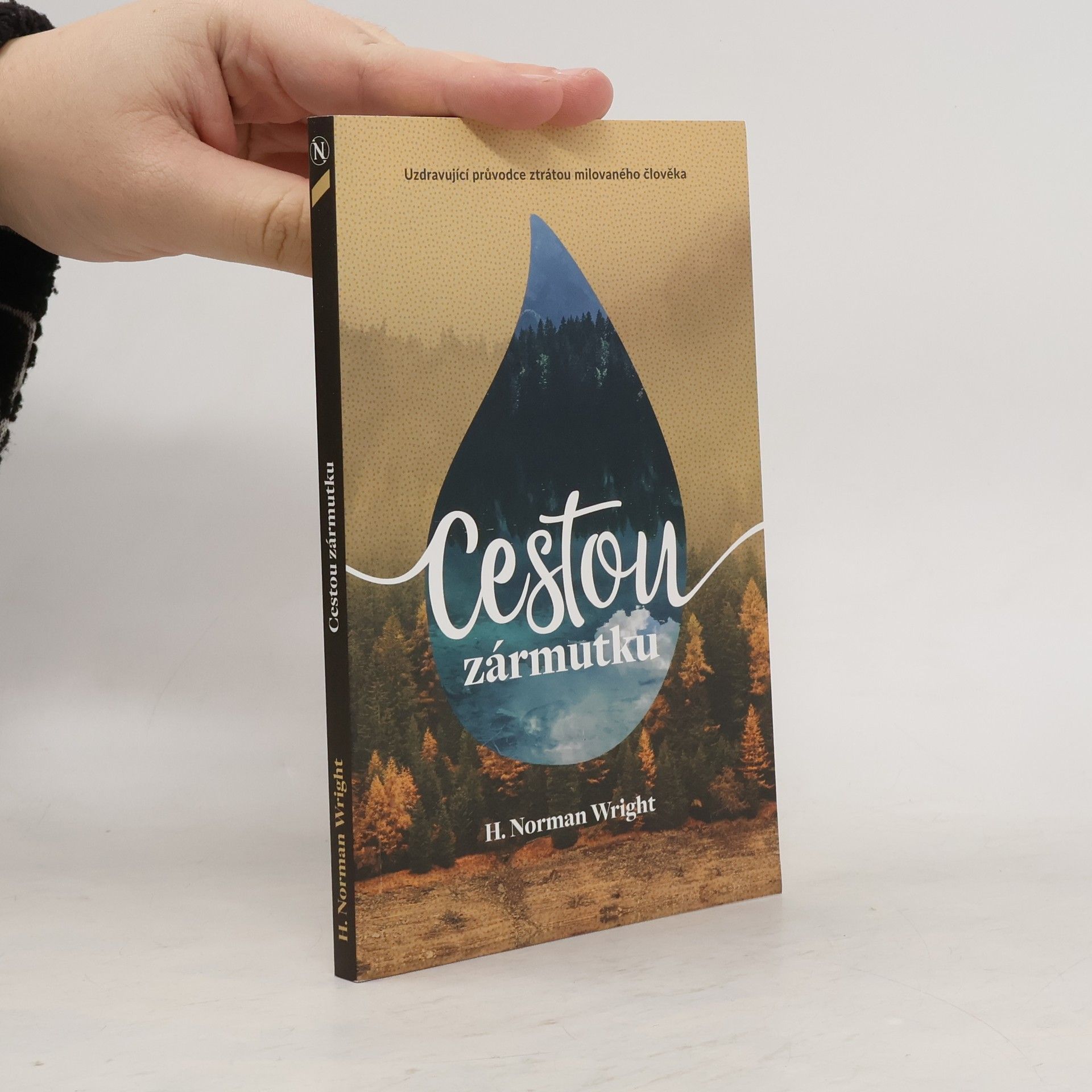 Norman Wright Cestou zármutku