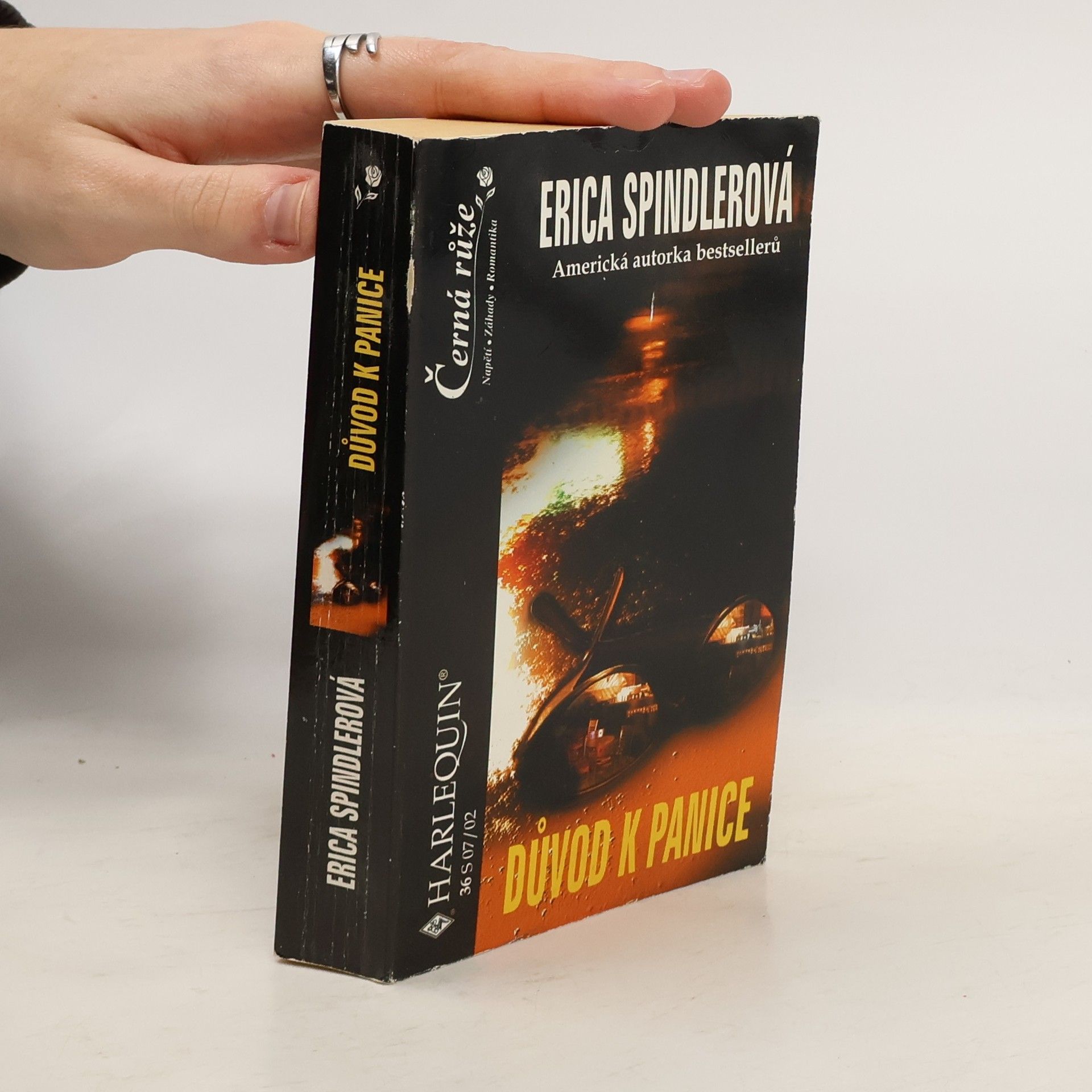 Erica Spindler Důvod k panice