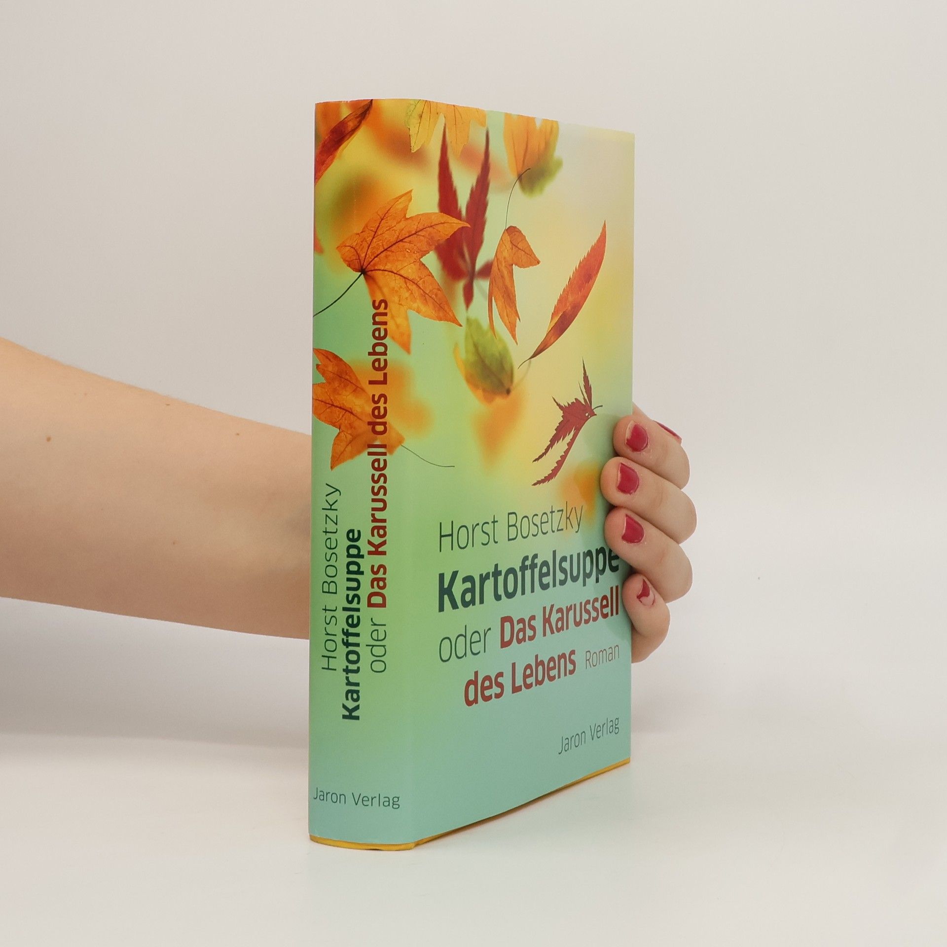 Horst Bosetzky Kartoffelsuppe oder Das Karussell des Lebens