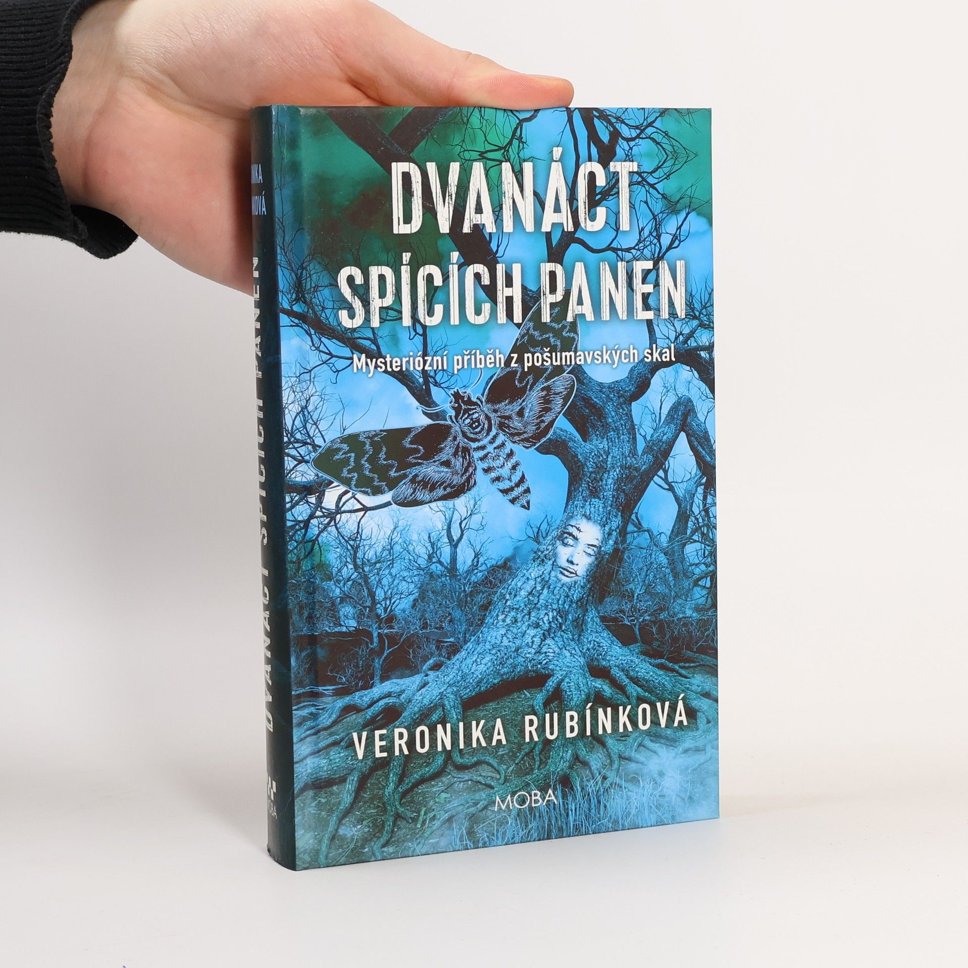 Veronika Rubínková Dvanáct spících panen
