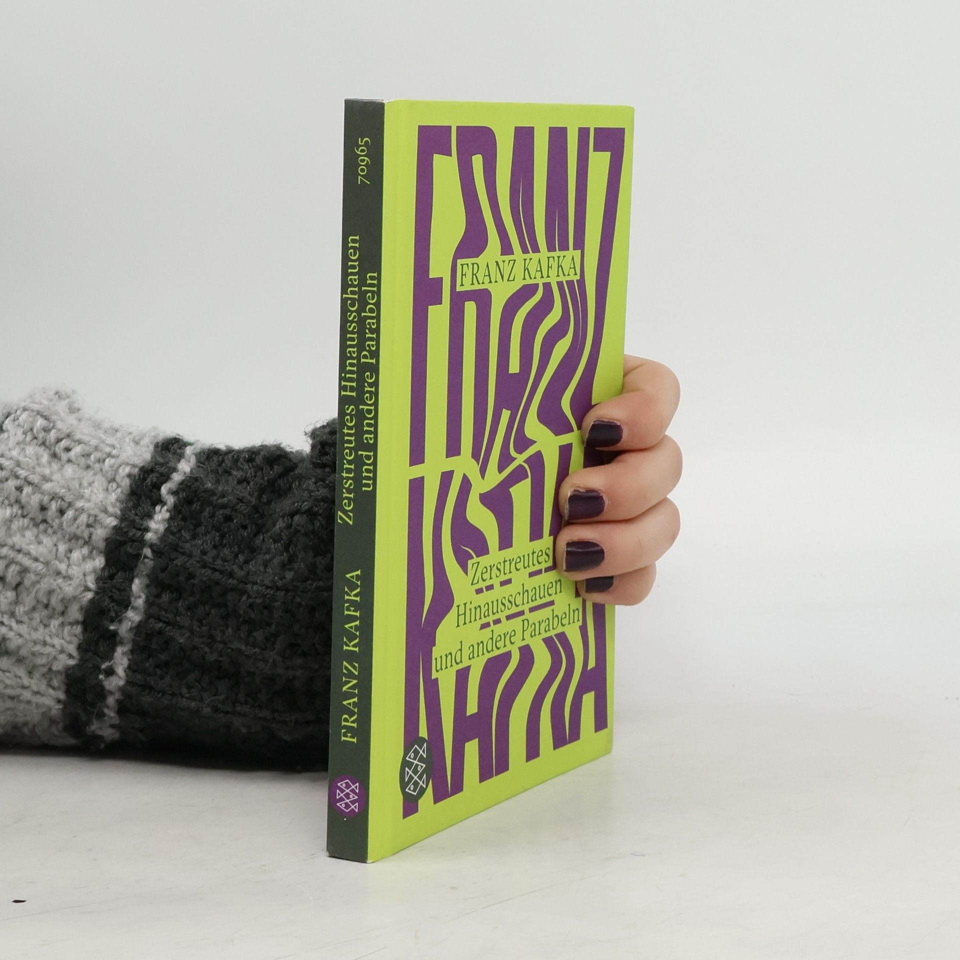 Franz Kafka Zerstreutes Hinausschauen und andere Parabeln