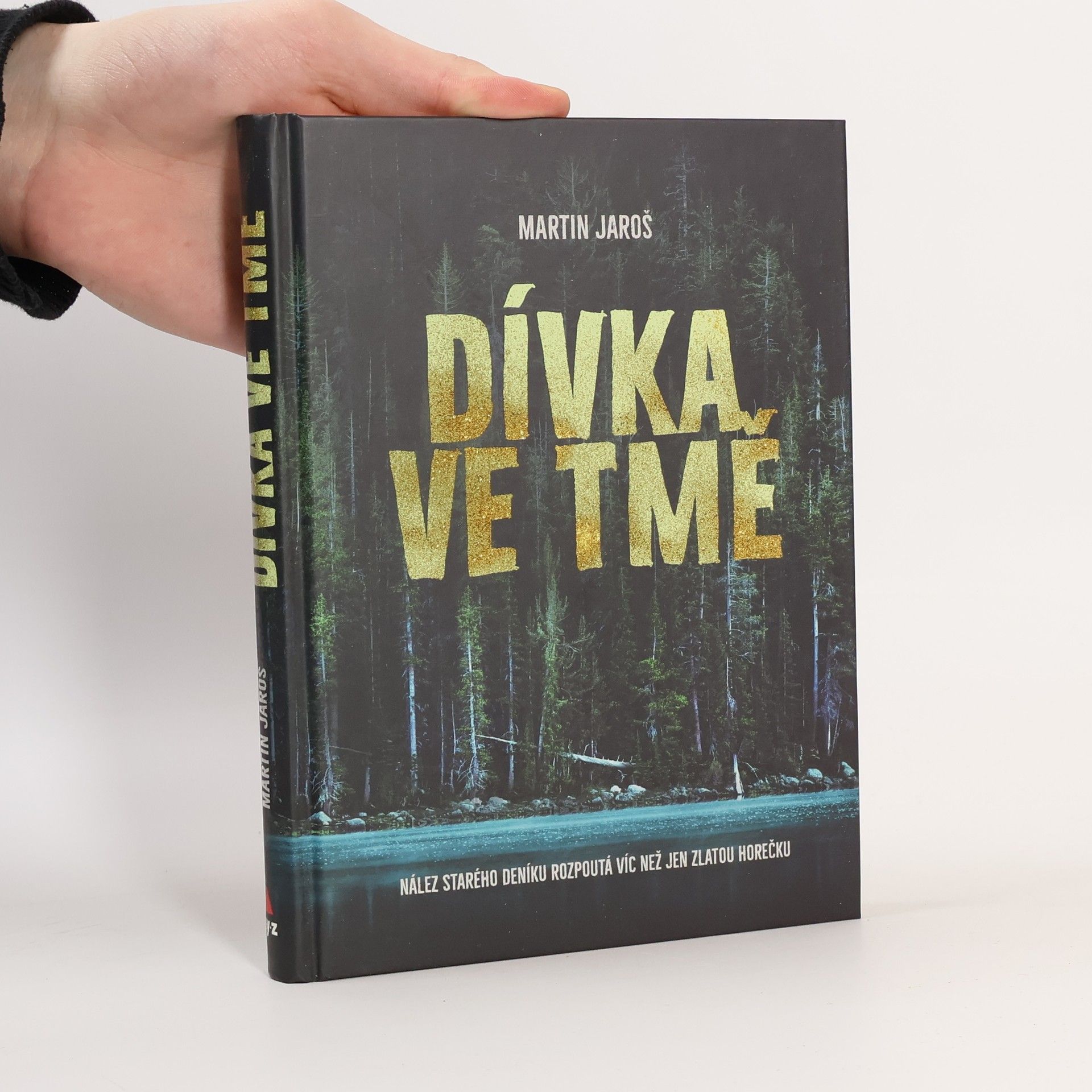 Martin Jaroš Dívka ve tmě