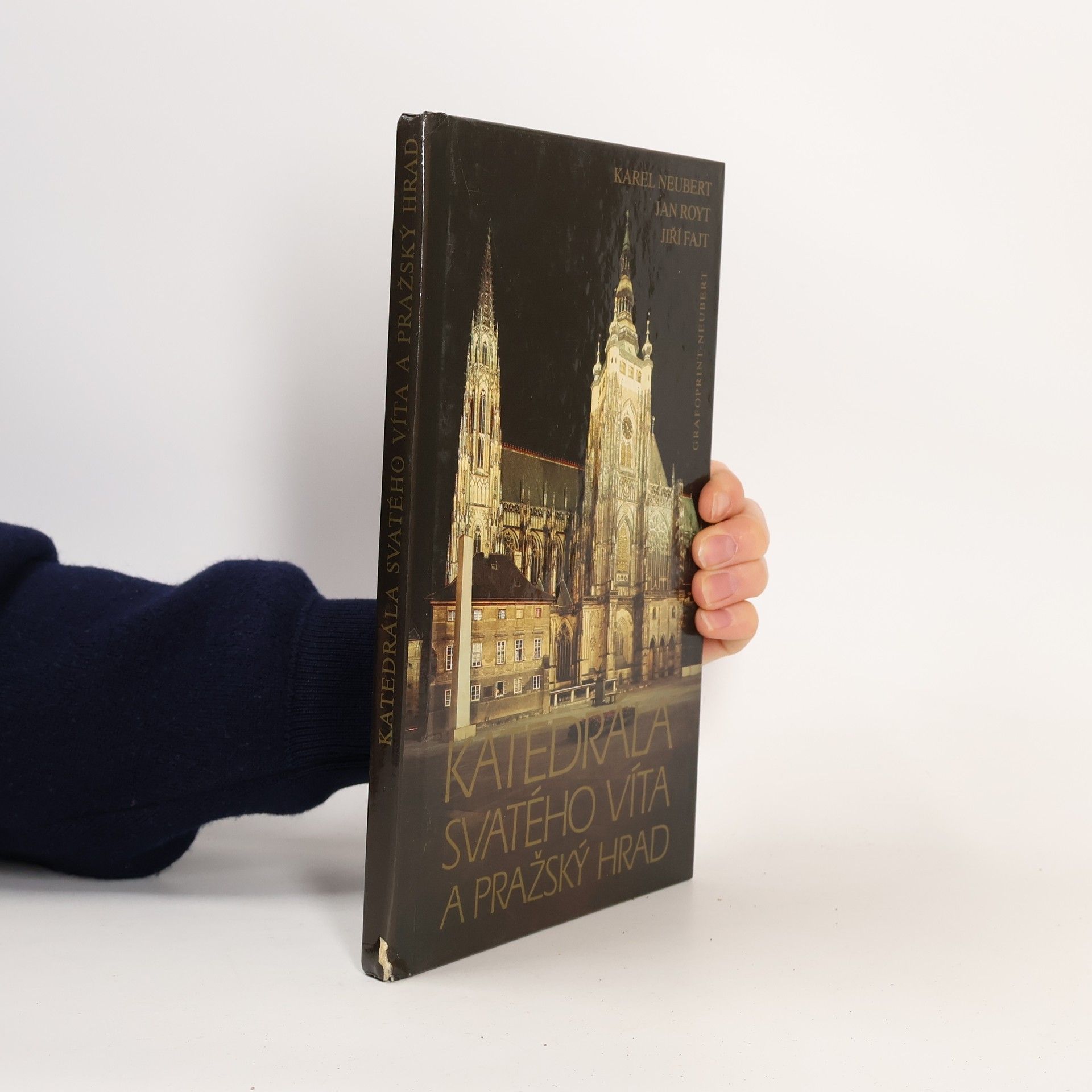 Jan Royt Katedrála svatého Víta a Pražský hrad