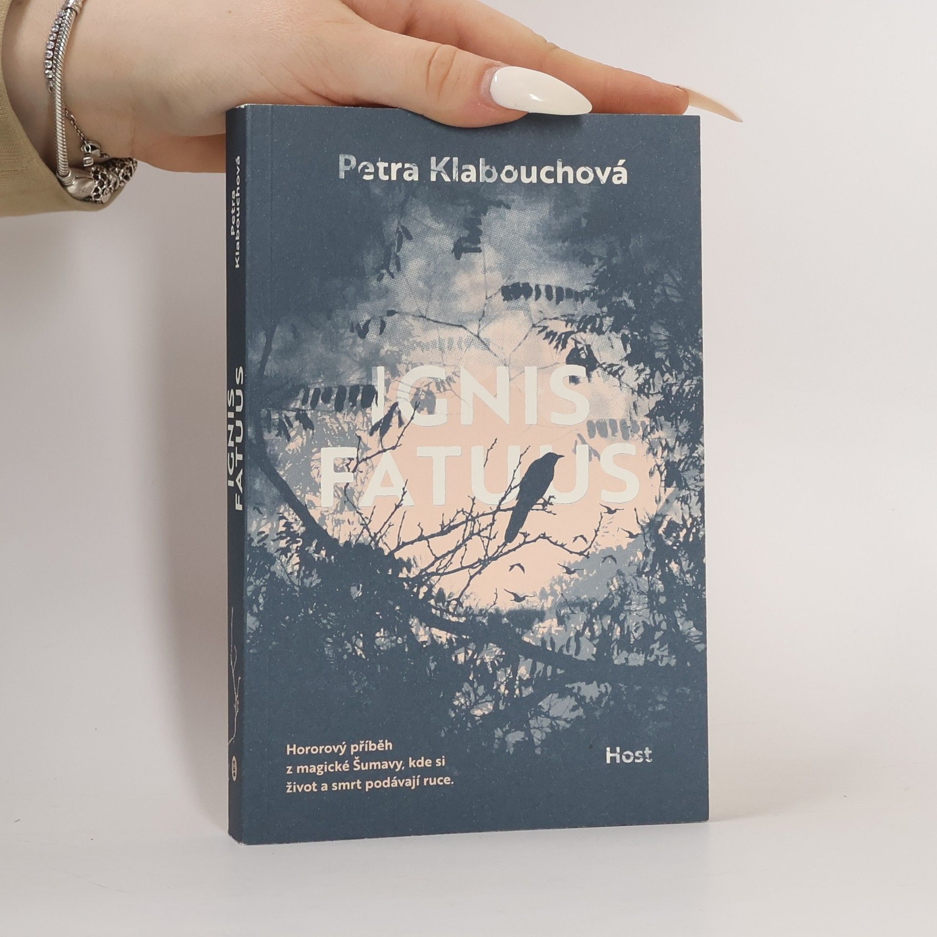 Petra Klabouchová Ignis fatuus