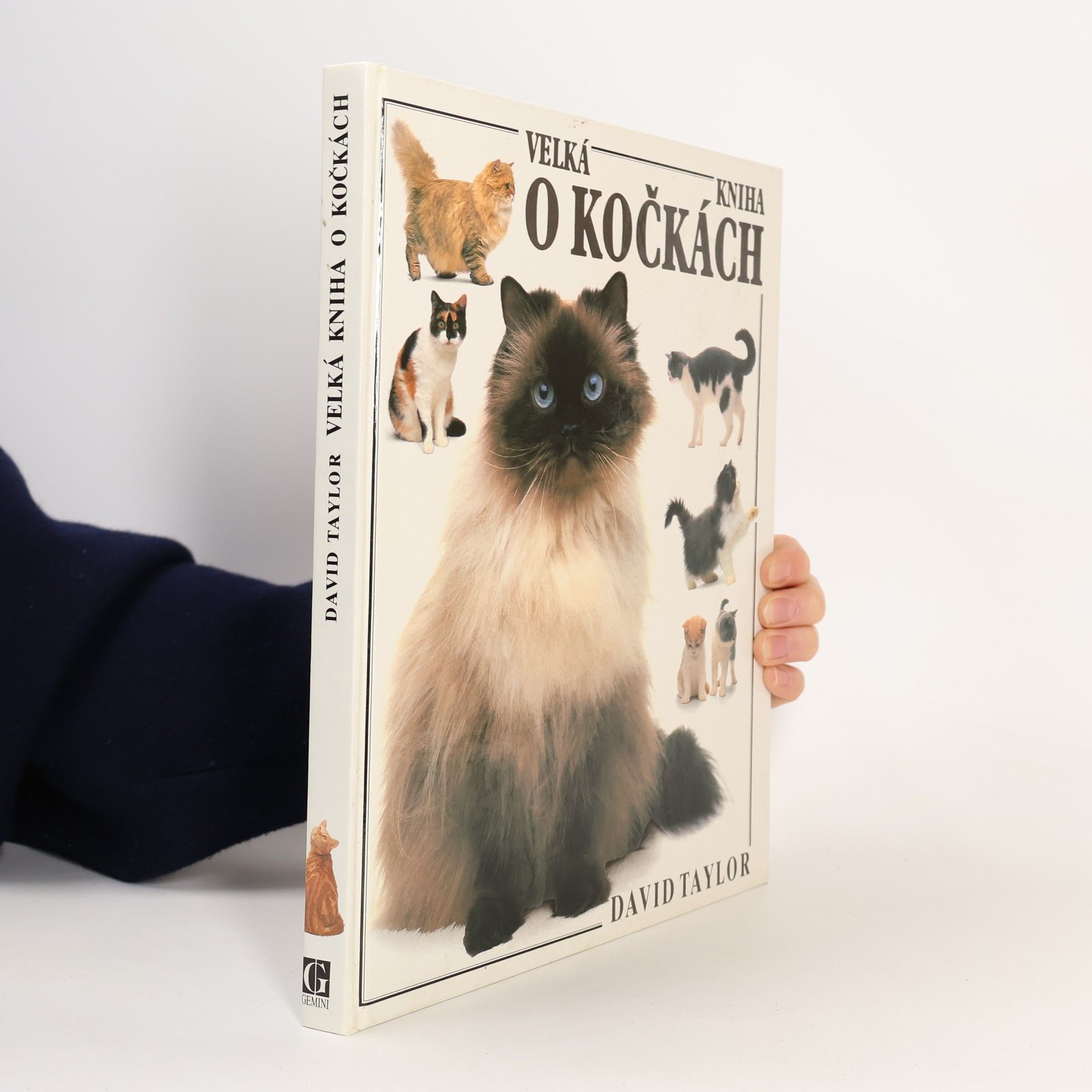 David Conrad Taylor Velká kniha o kočkách