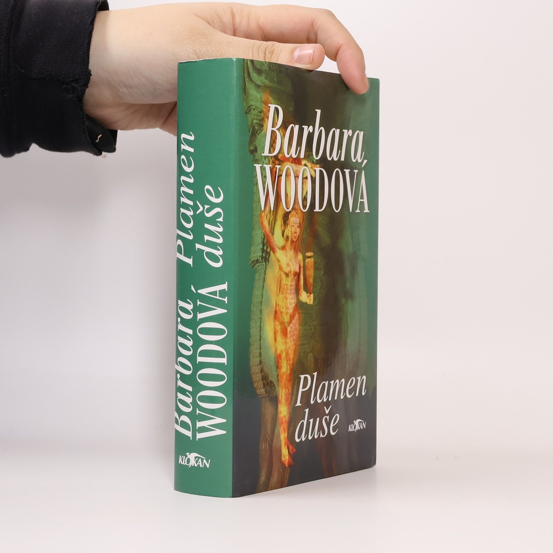 Barbara Wood Plamen duše