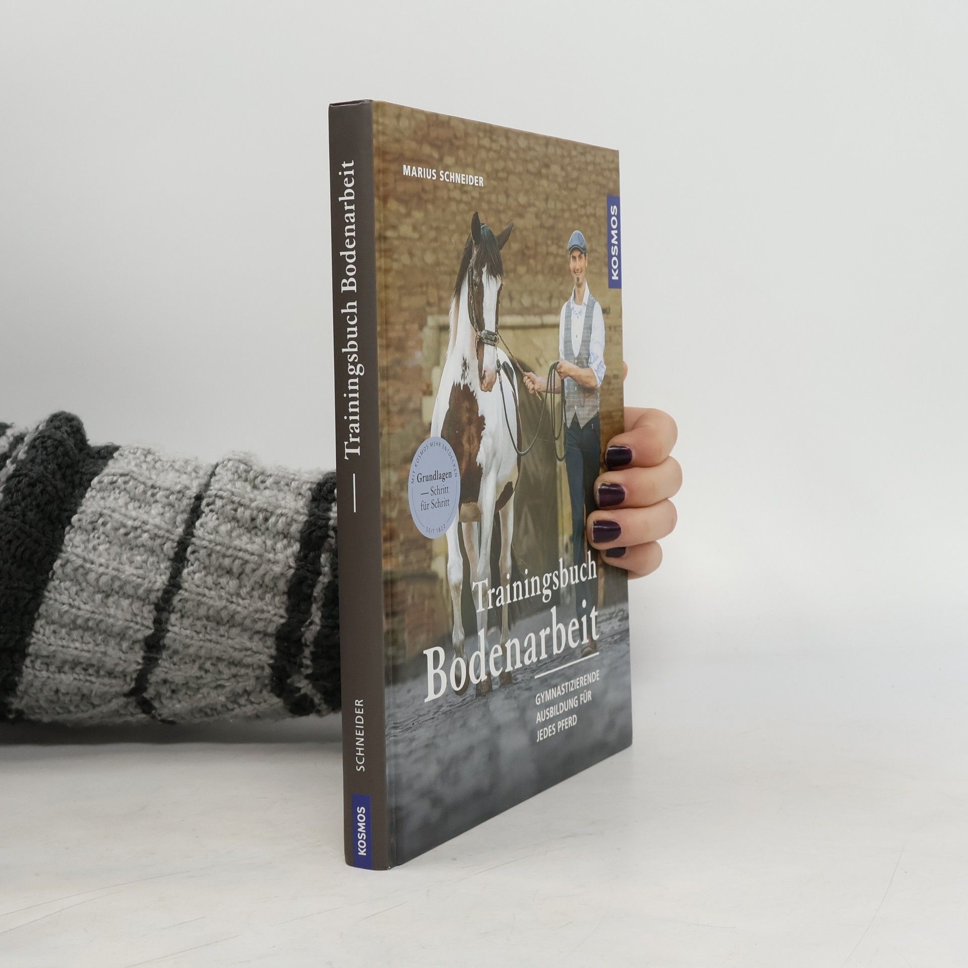 Marius Schneider Trainingsbuch Bodenarbeit