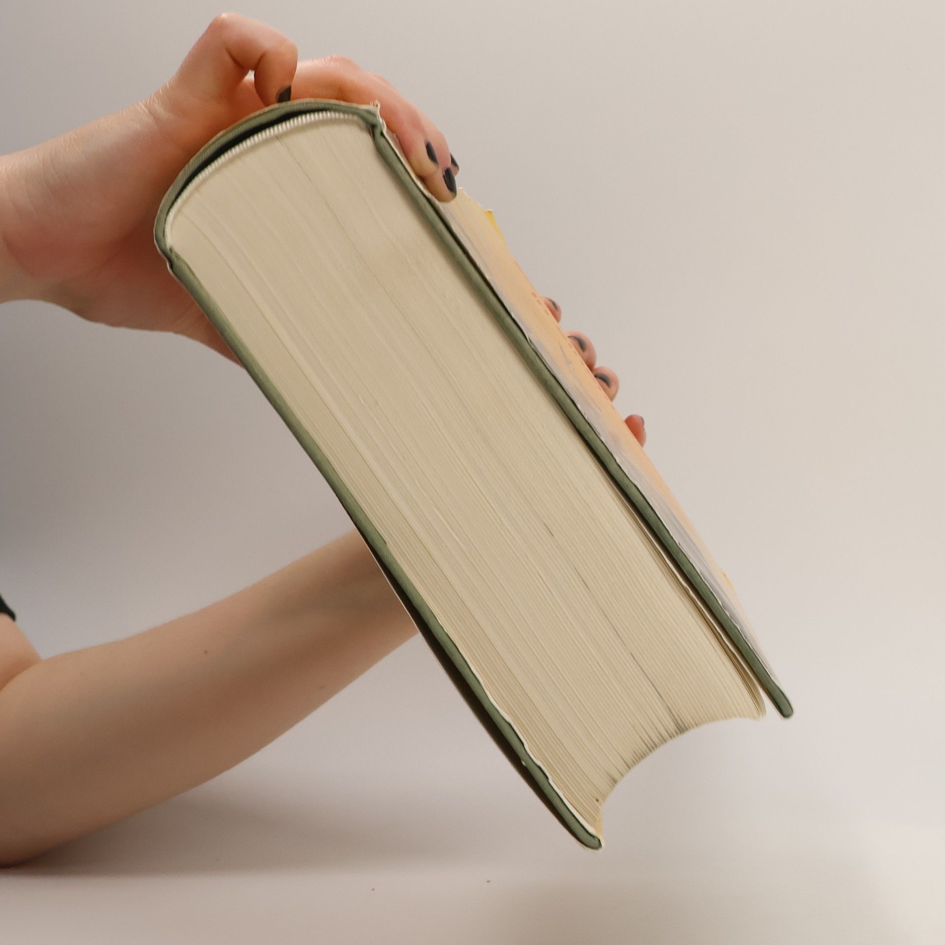 William Shakespeare Samtliche Werke in einem Bande