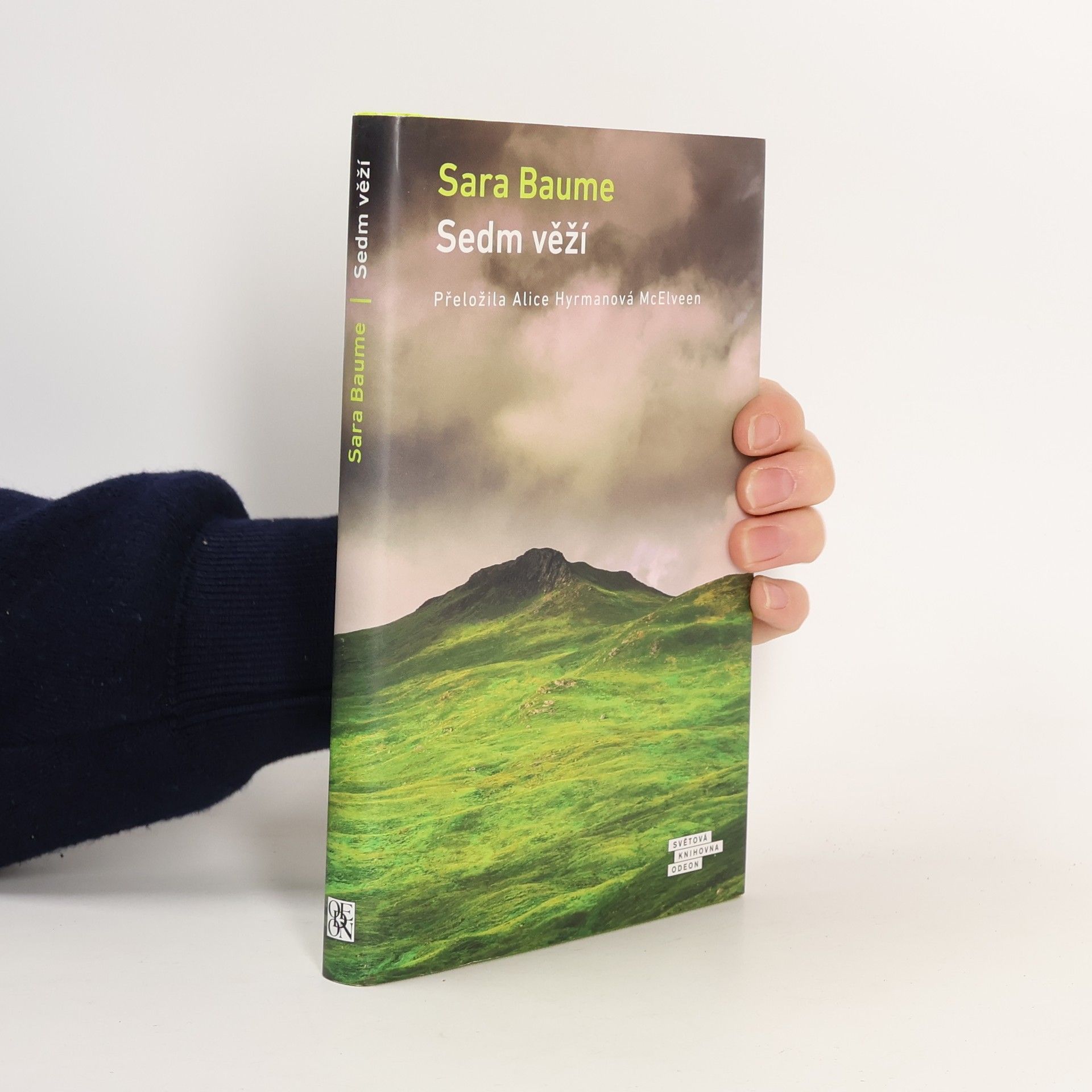 Sara Baume Sedm věží