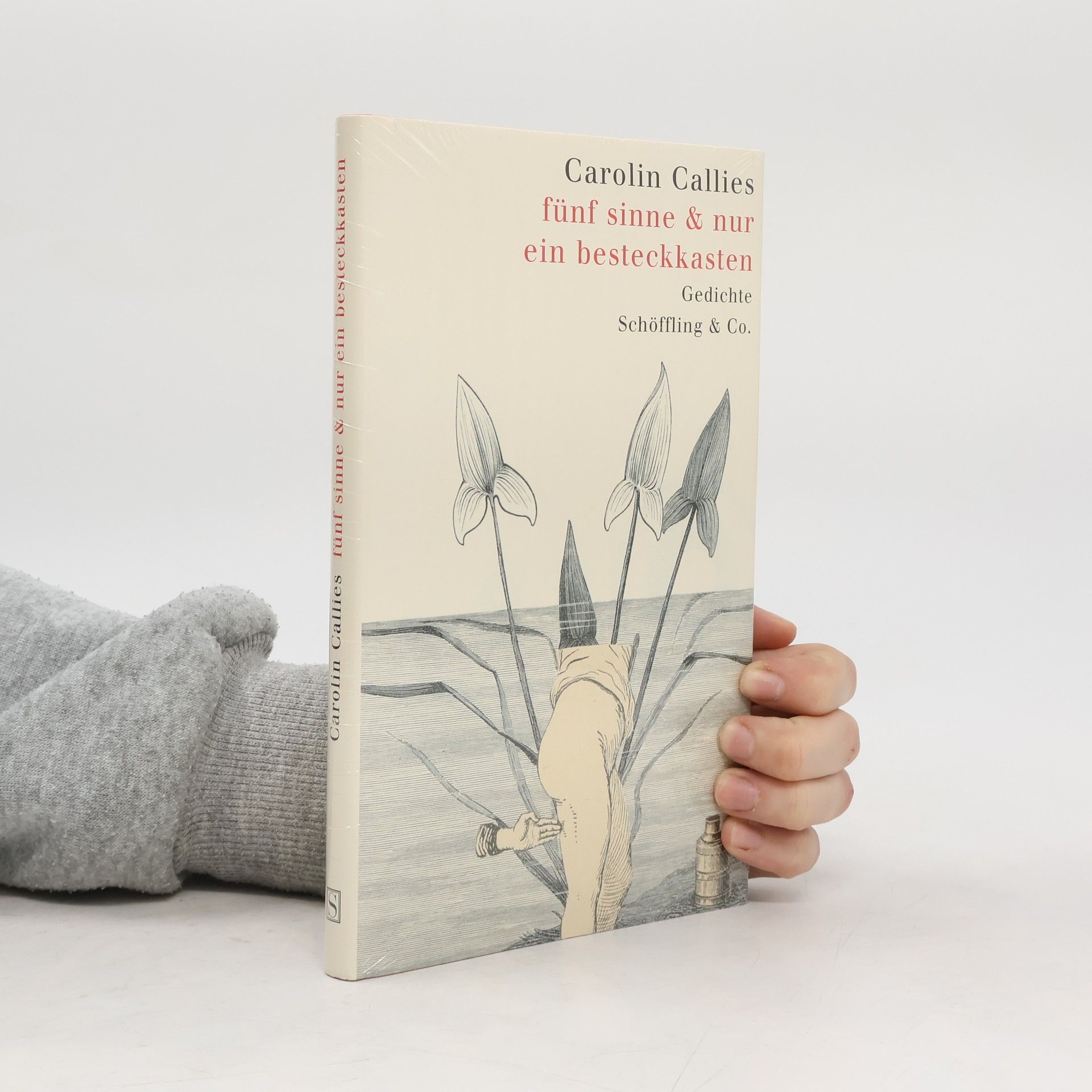 Carolin Callies Fünf Sinne & nur ein Besteckkasten