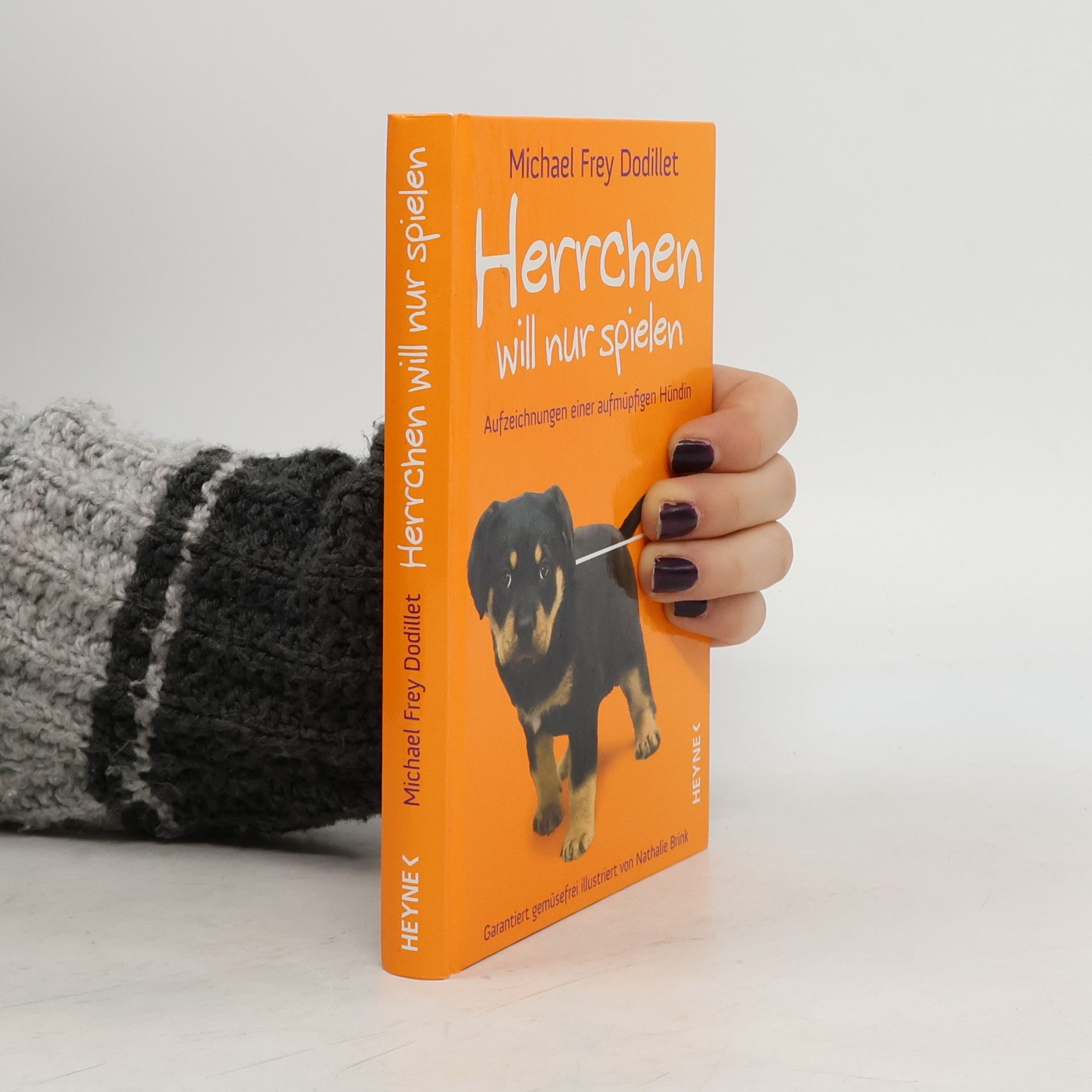 Michael Frey Dodillet Herrchen will nur spielen