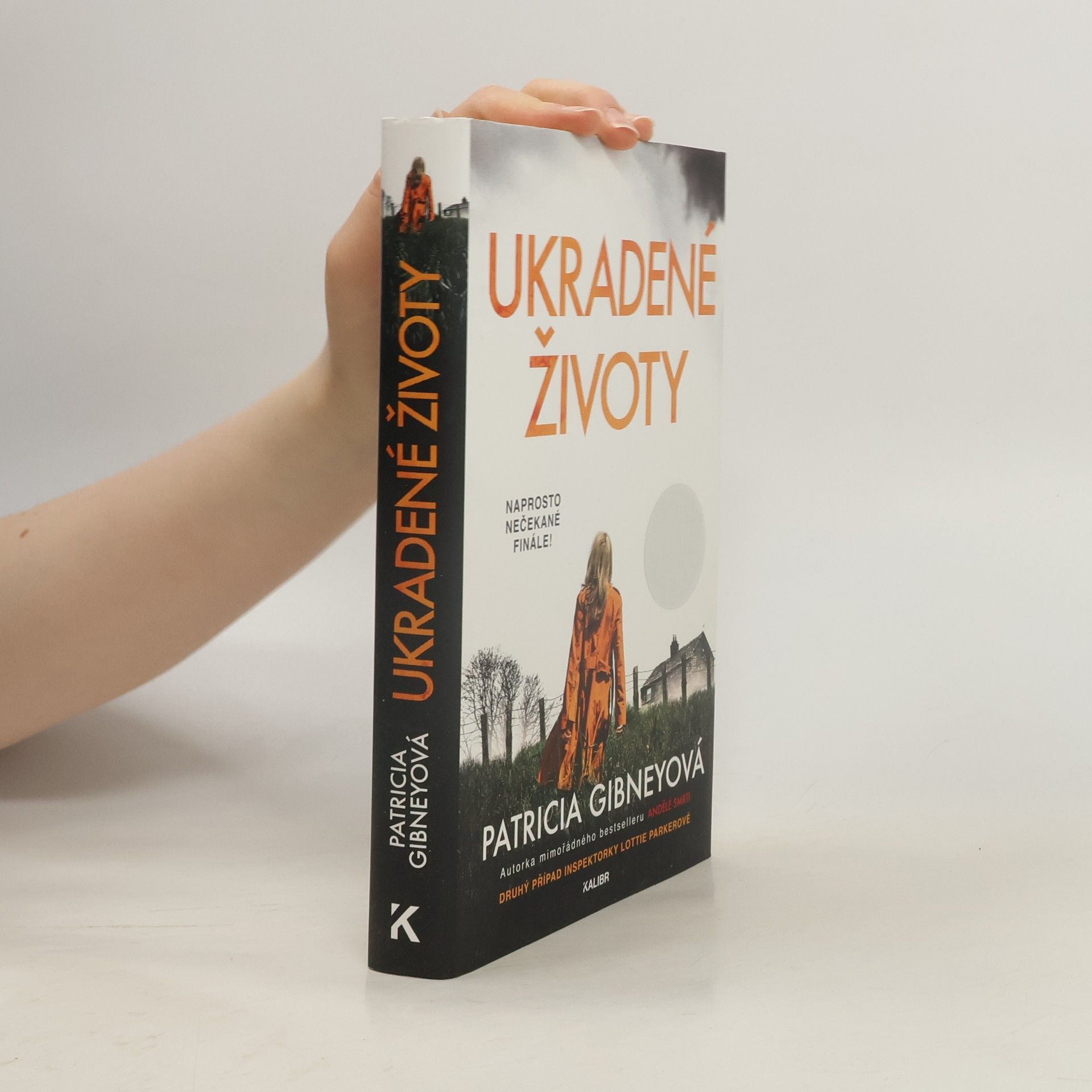 Patricia Gibney Ukradené životy