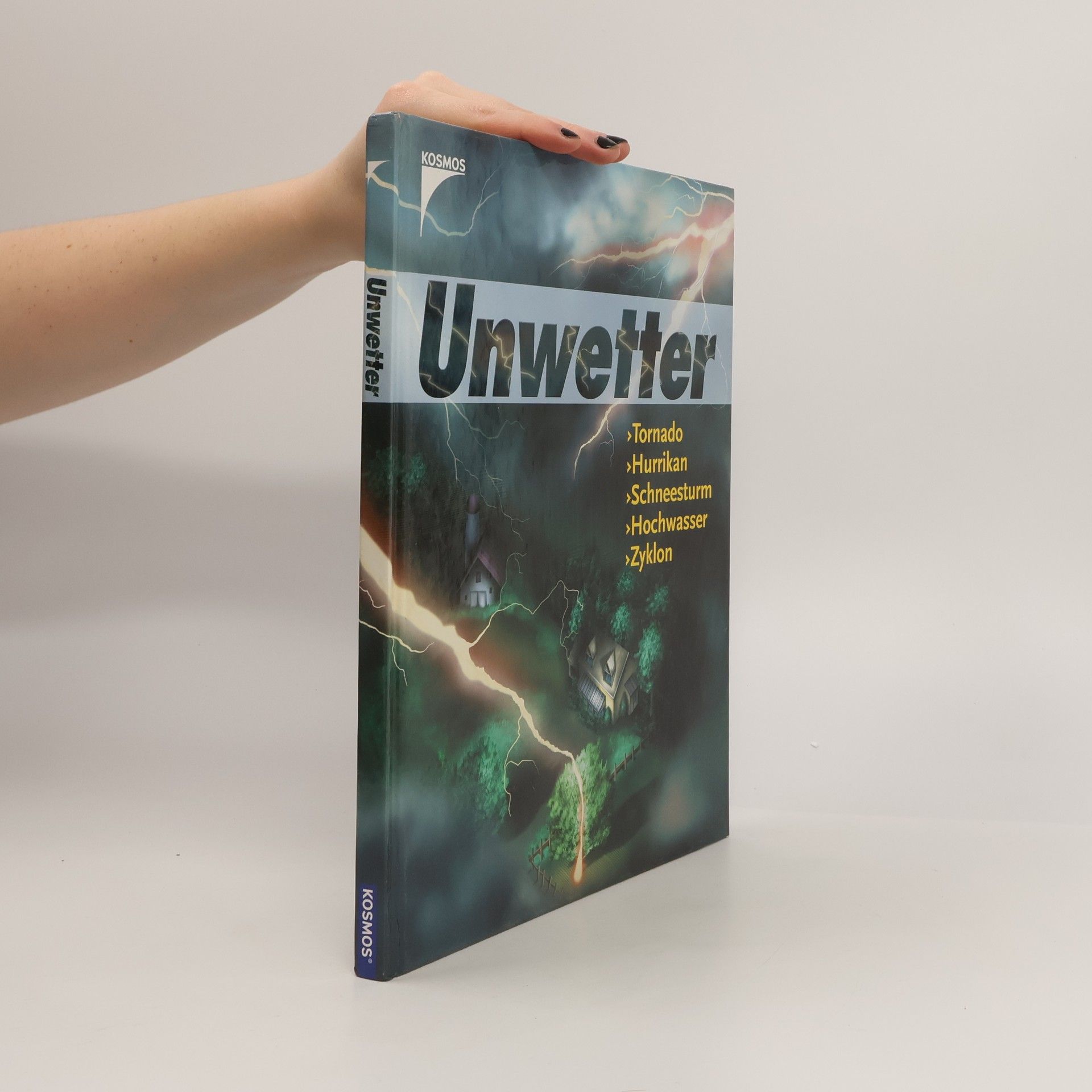 Cordula Gerndt Unwetter