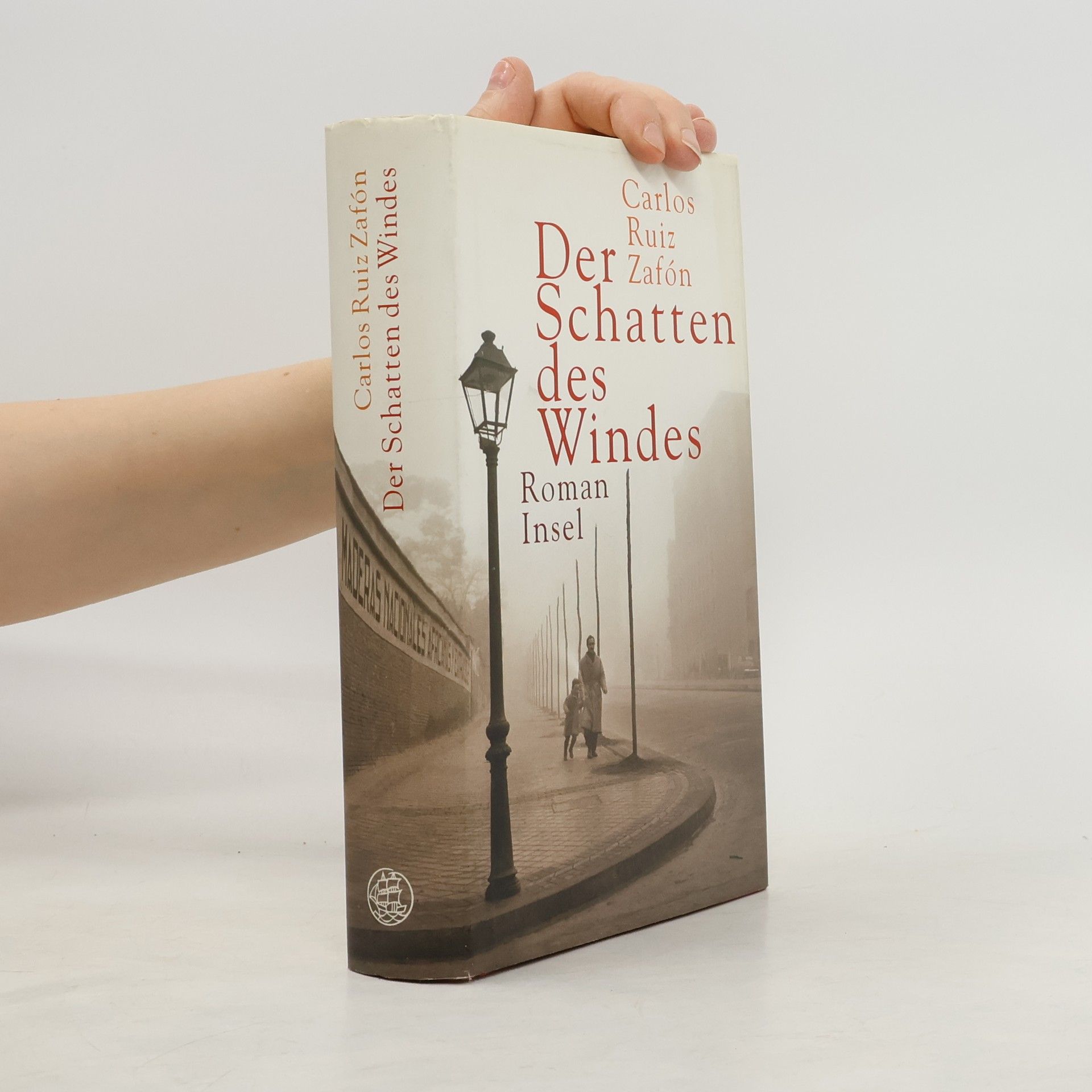 Der Schatten des Windes