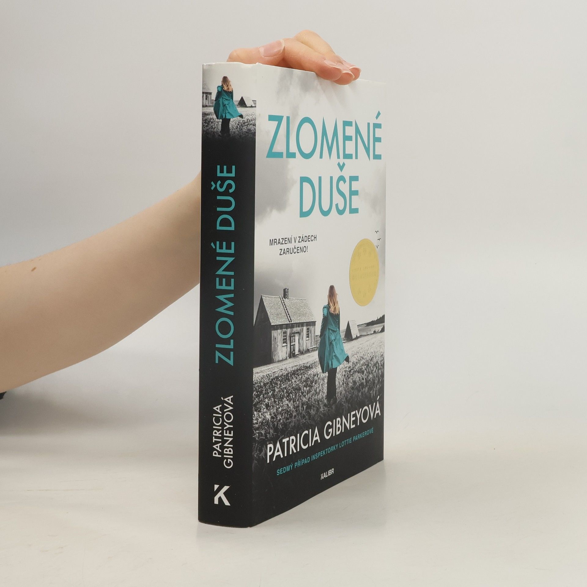 Patricia Gibney Zlomené Duše