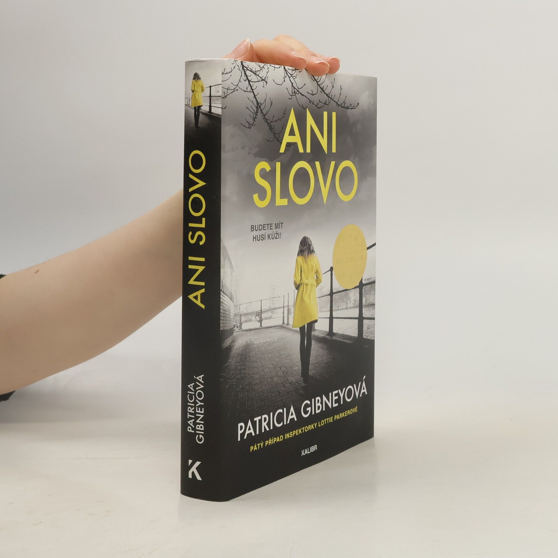 Patricia Gibney Ani slovo