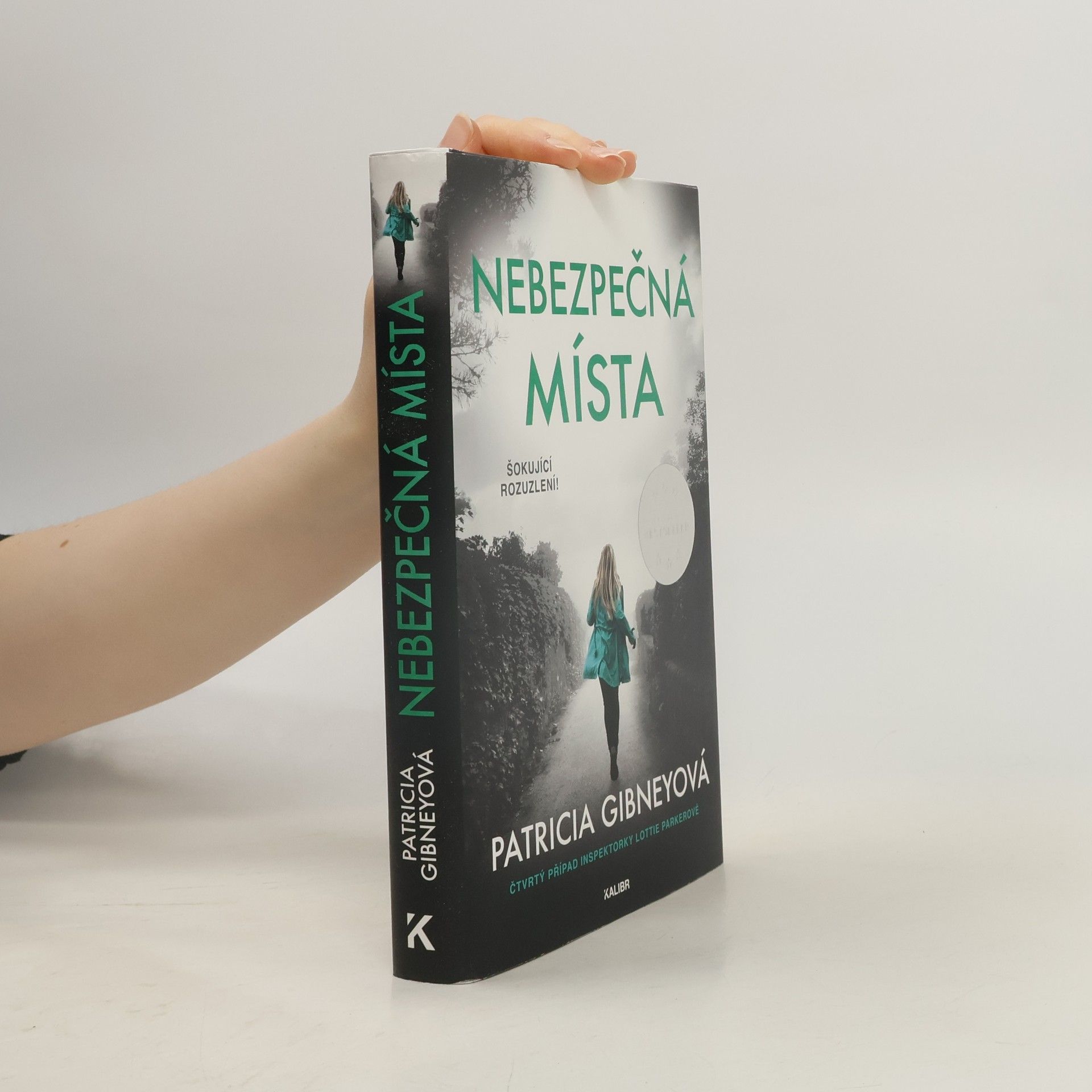 Patricia Gibney Nebezpečná místa