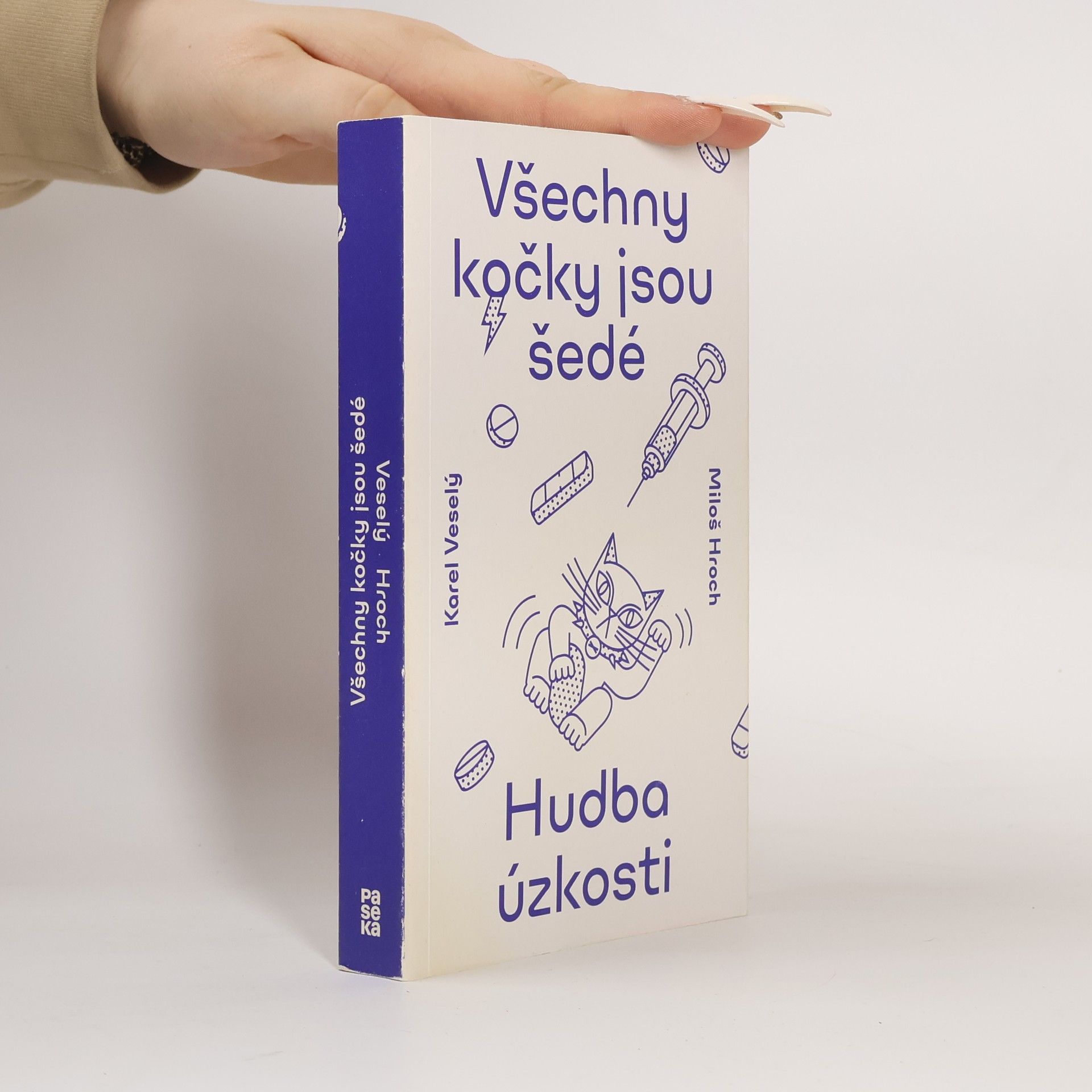 Karel Veselý Všechny kočky jsou šedé