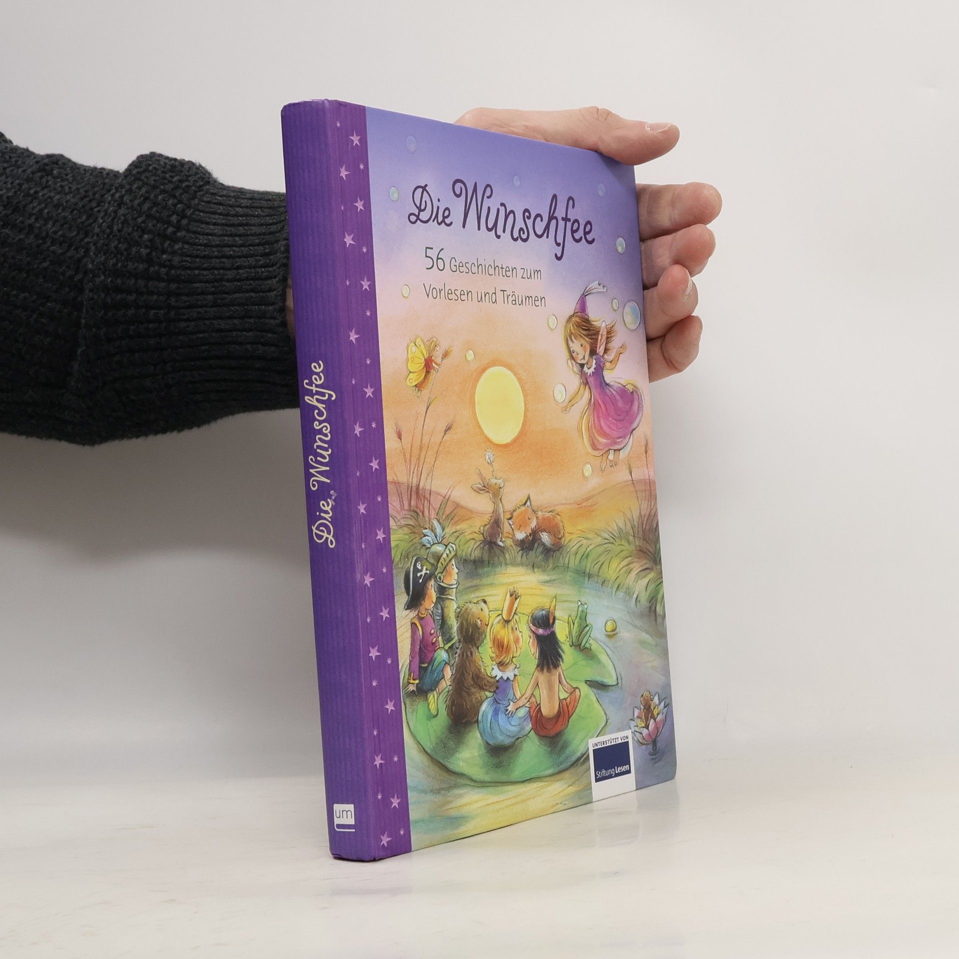 Autorenkollektiv Die Wunschfee. 56 Geschichten zum Vorlesen und Träumen