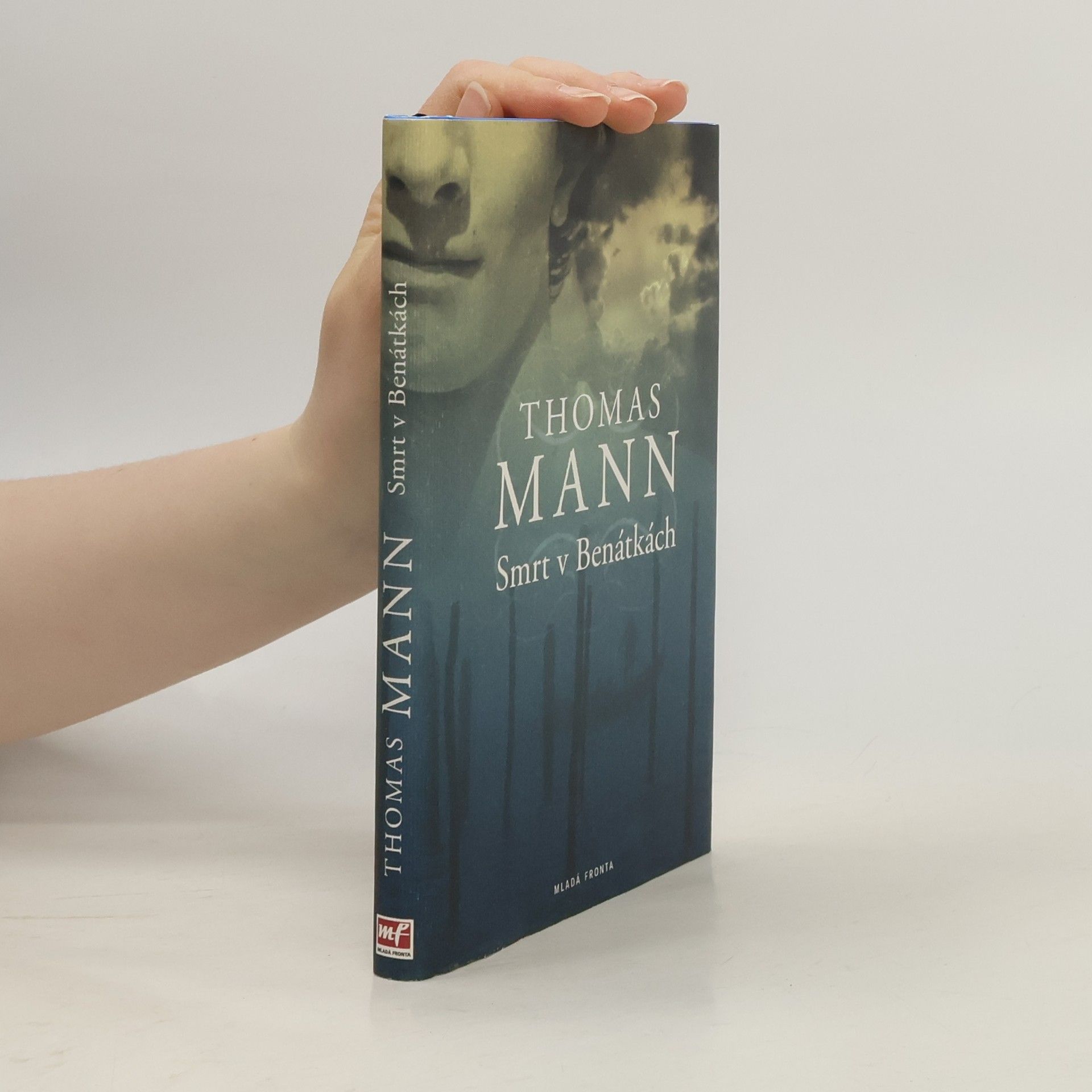 Thomas Mann Smrt v Benátkách