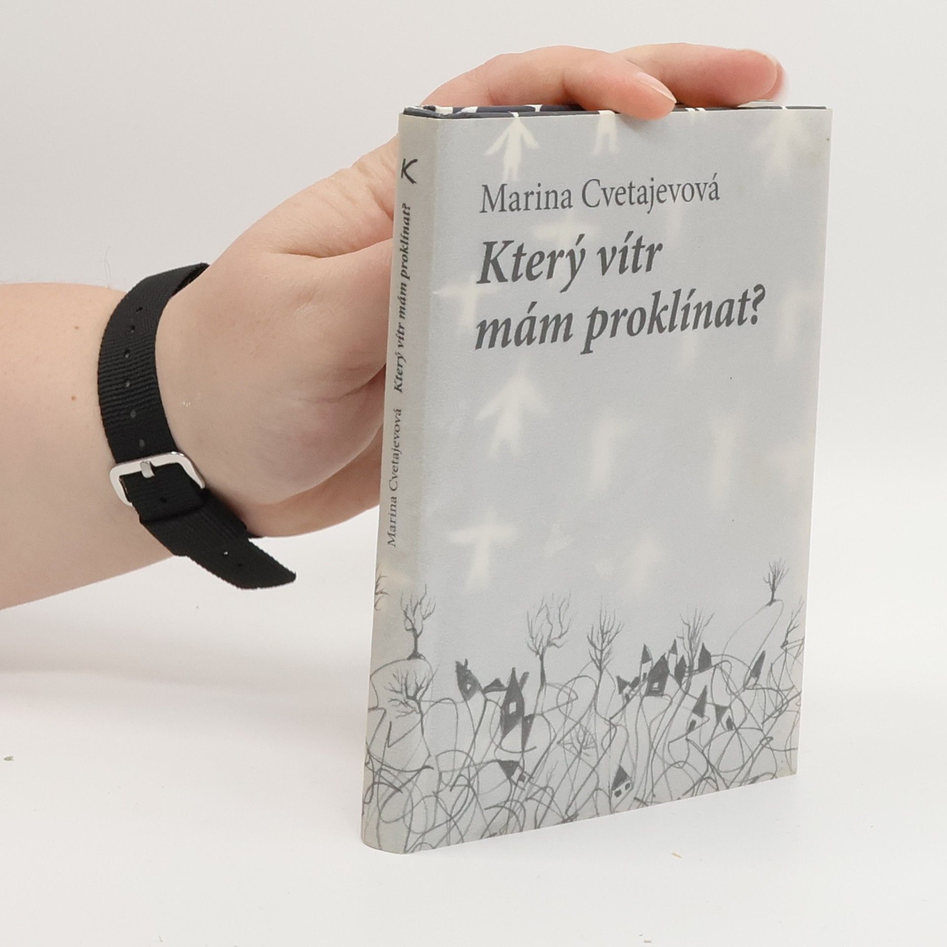 Marina Ivanovna Cvetajeva Který vítr mám proklínat