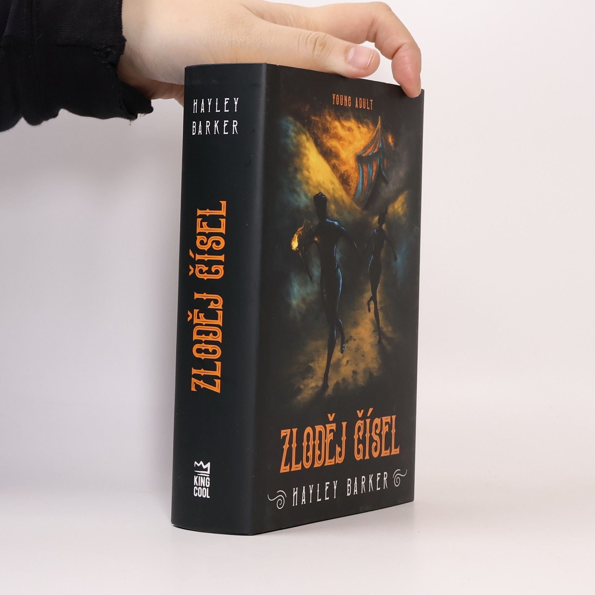 Hayley Barker Zloděj čísel