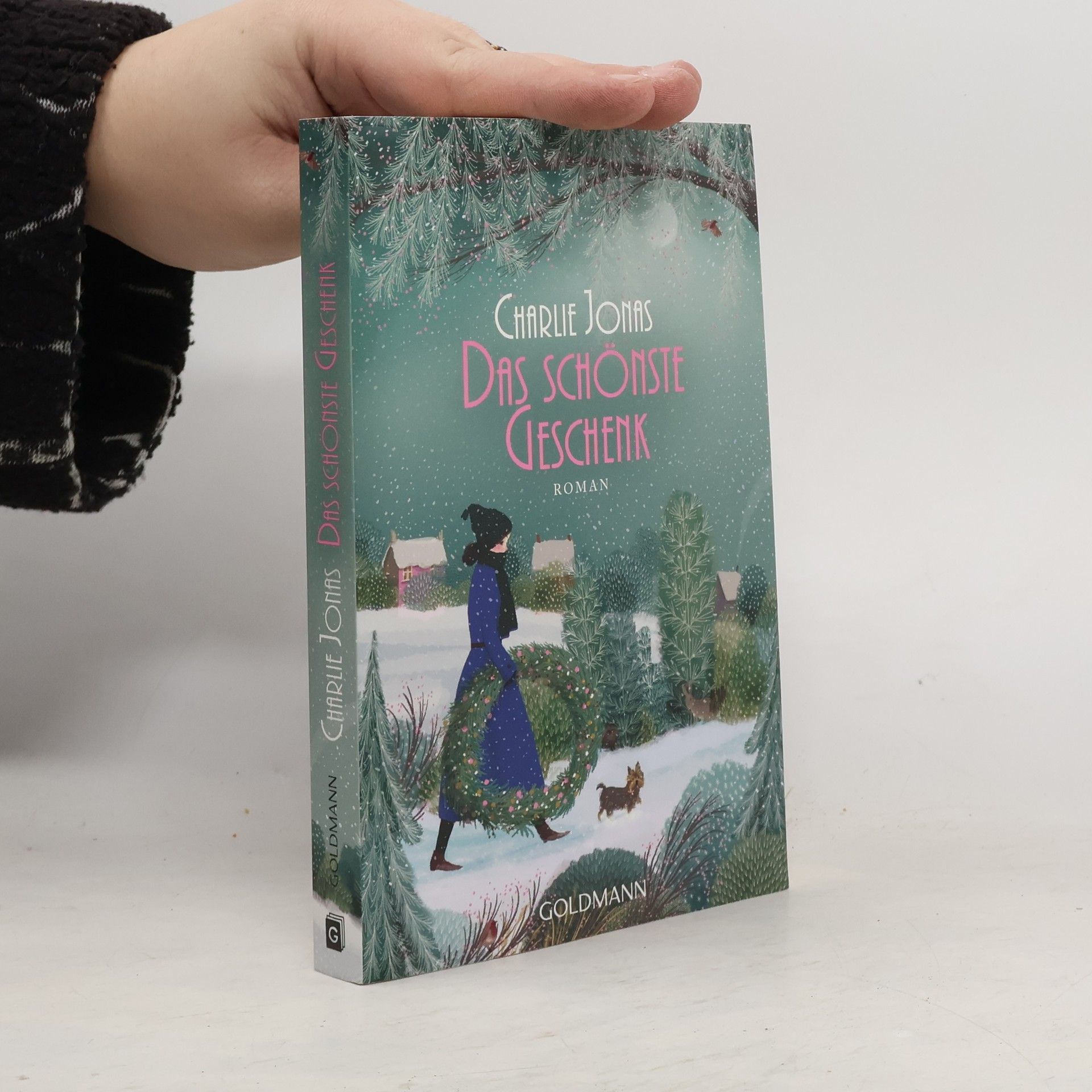 Das schönste Geschenk. Roman