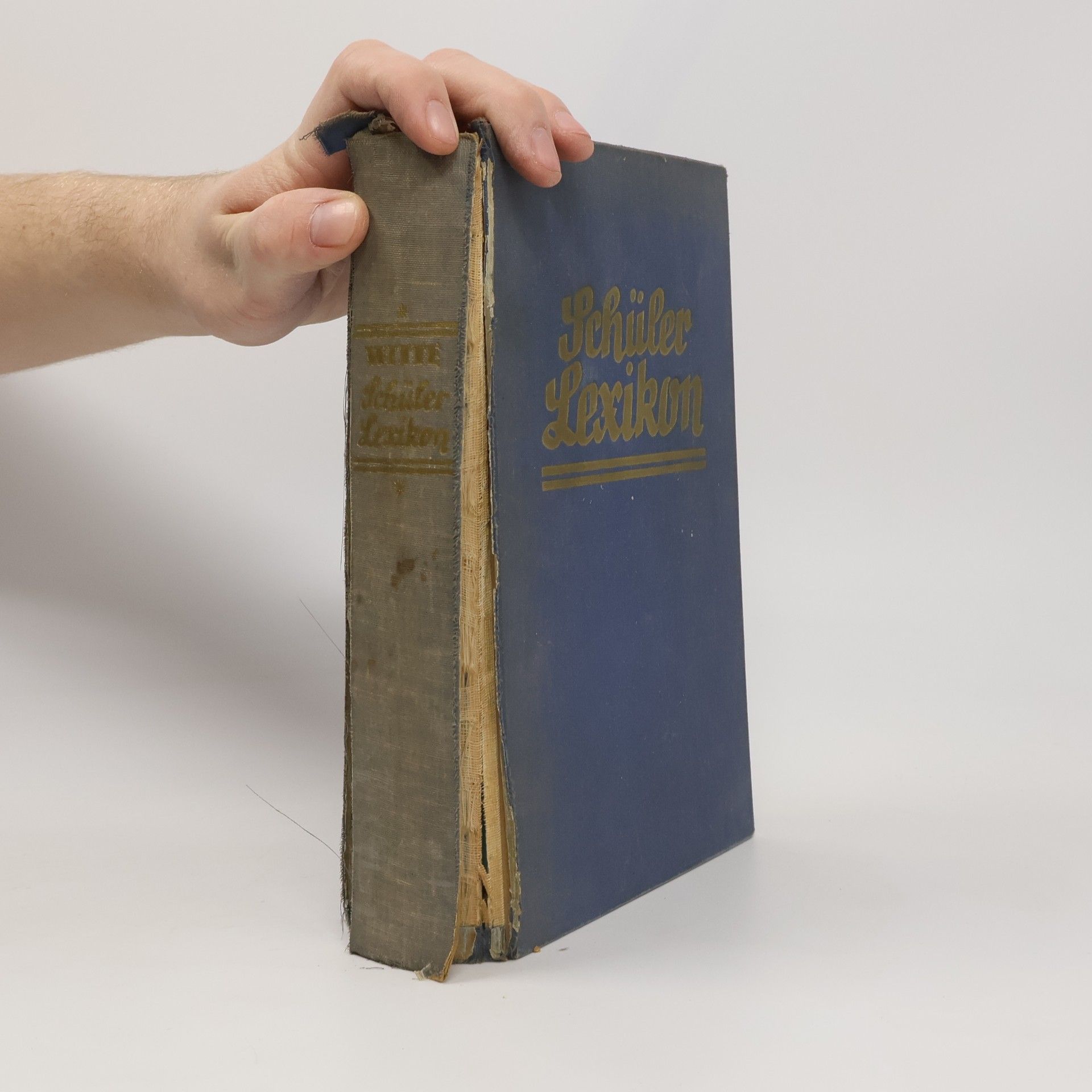 Autorenkollektiv Witte Schülerlexikon