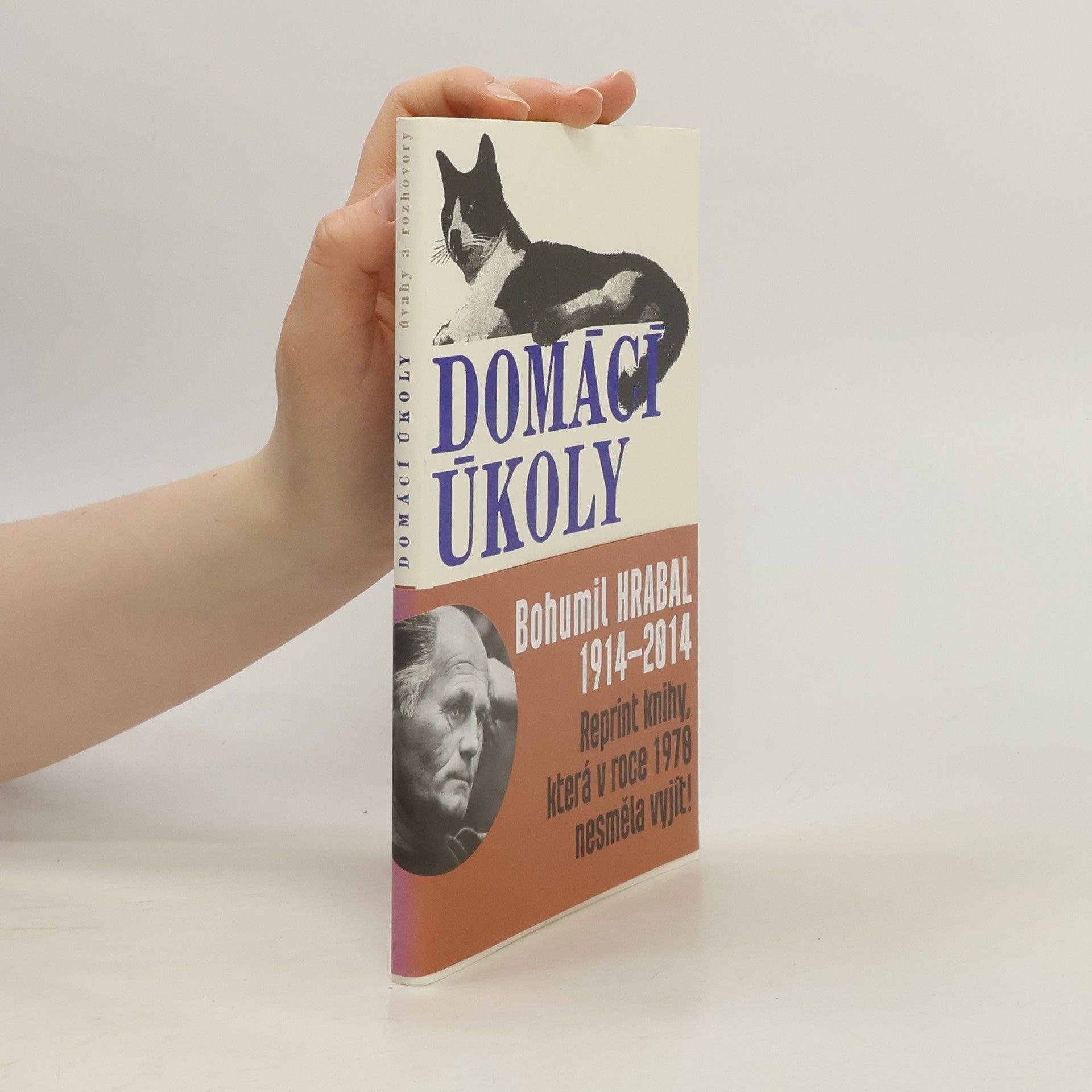 Domácí úkoly. Úvahy a rozhovory