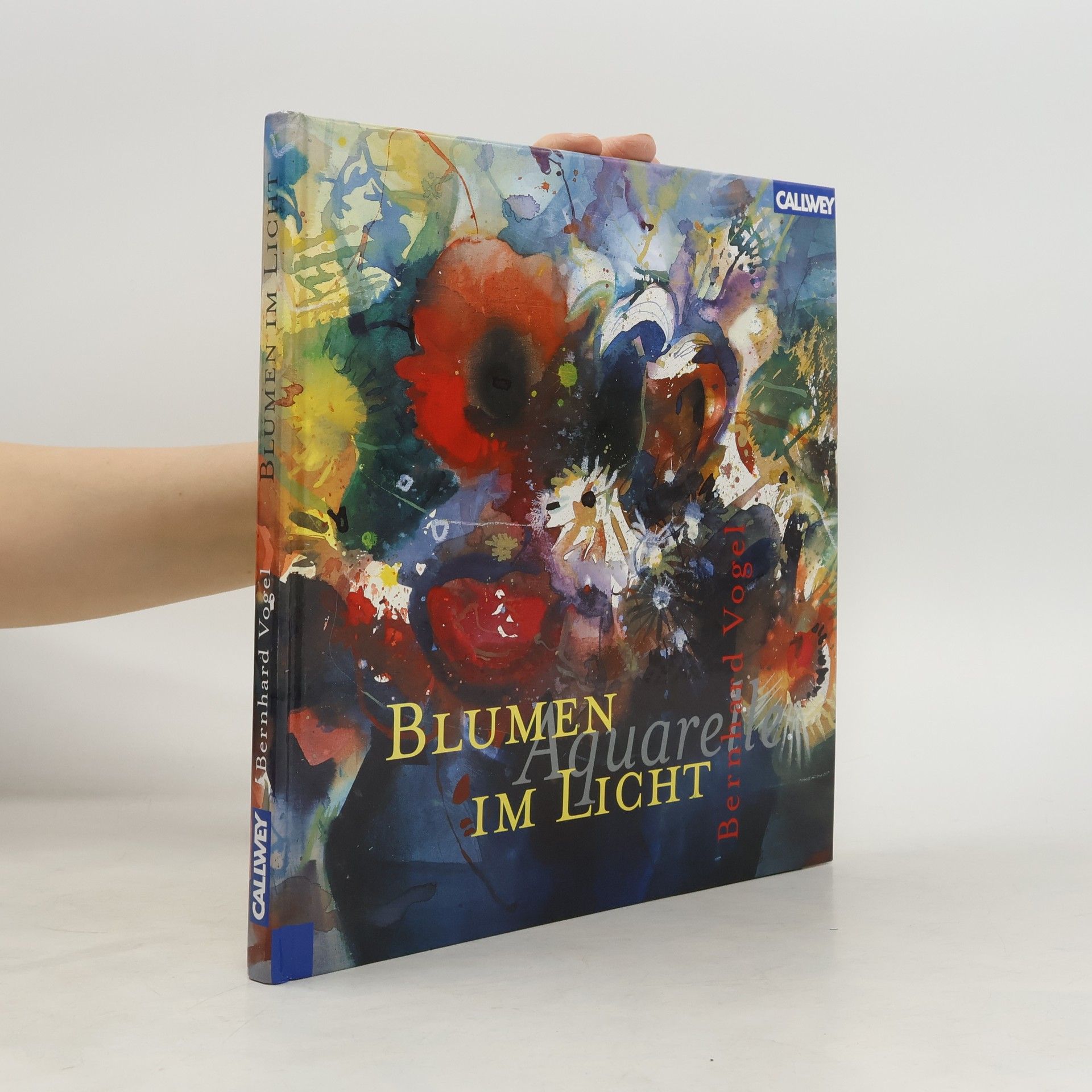 Bernhard Vogel Blumen im Licht
