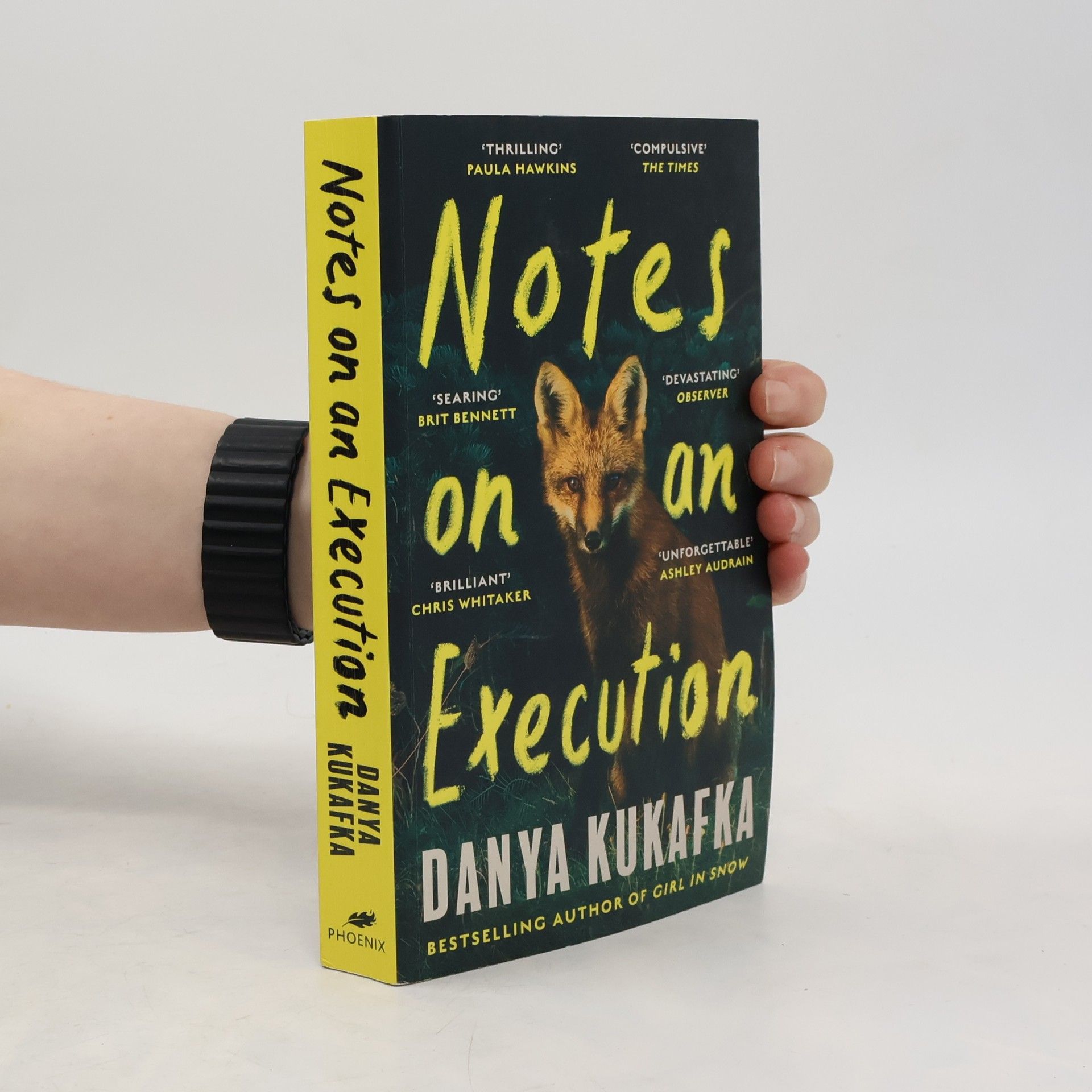 Notes on an Execution